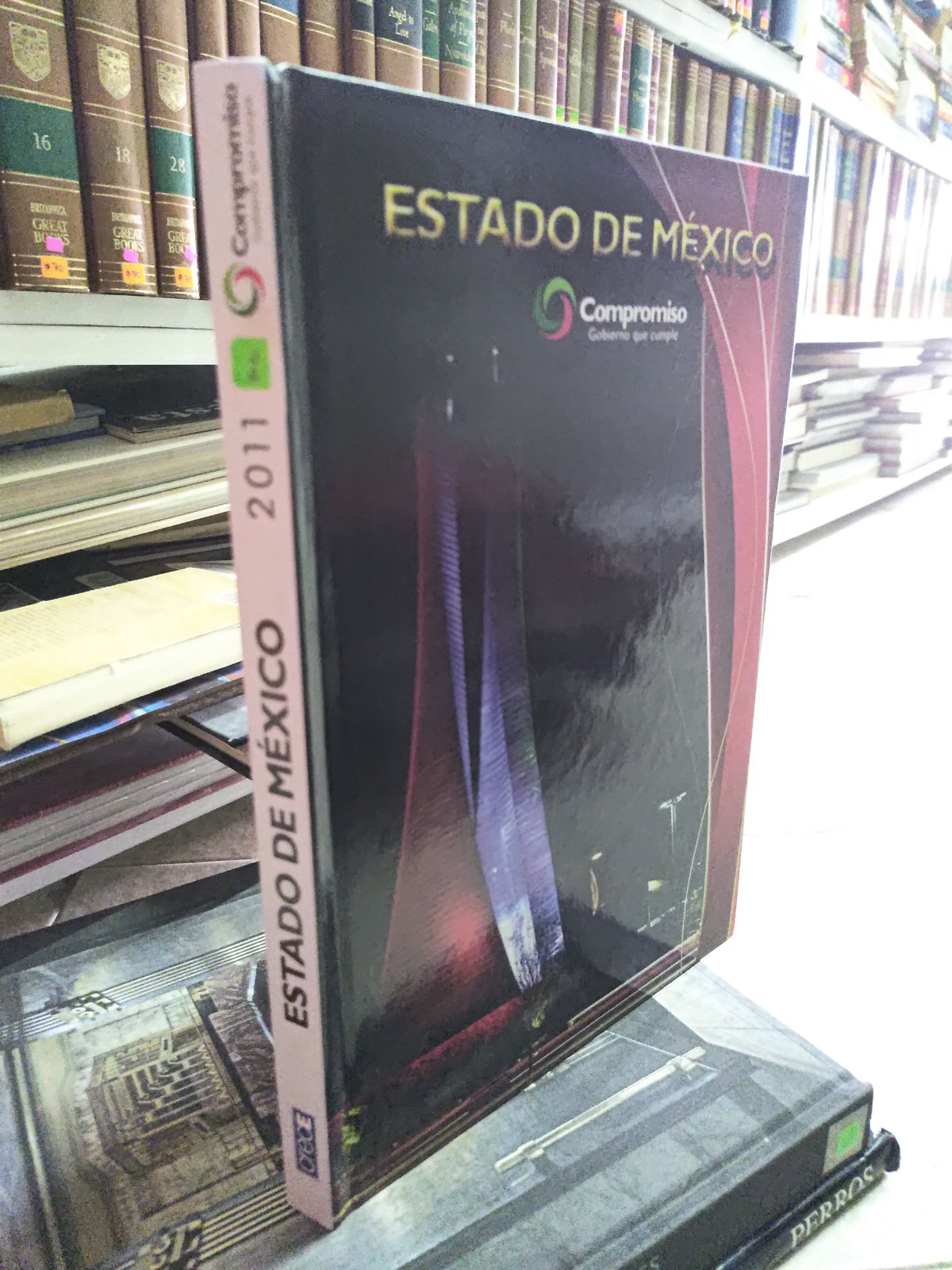 ESTADO DE MEXICO POR EDITORIAL ROCHE USADO ARTES JUAREZ 515