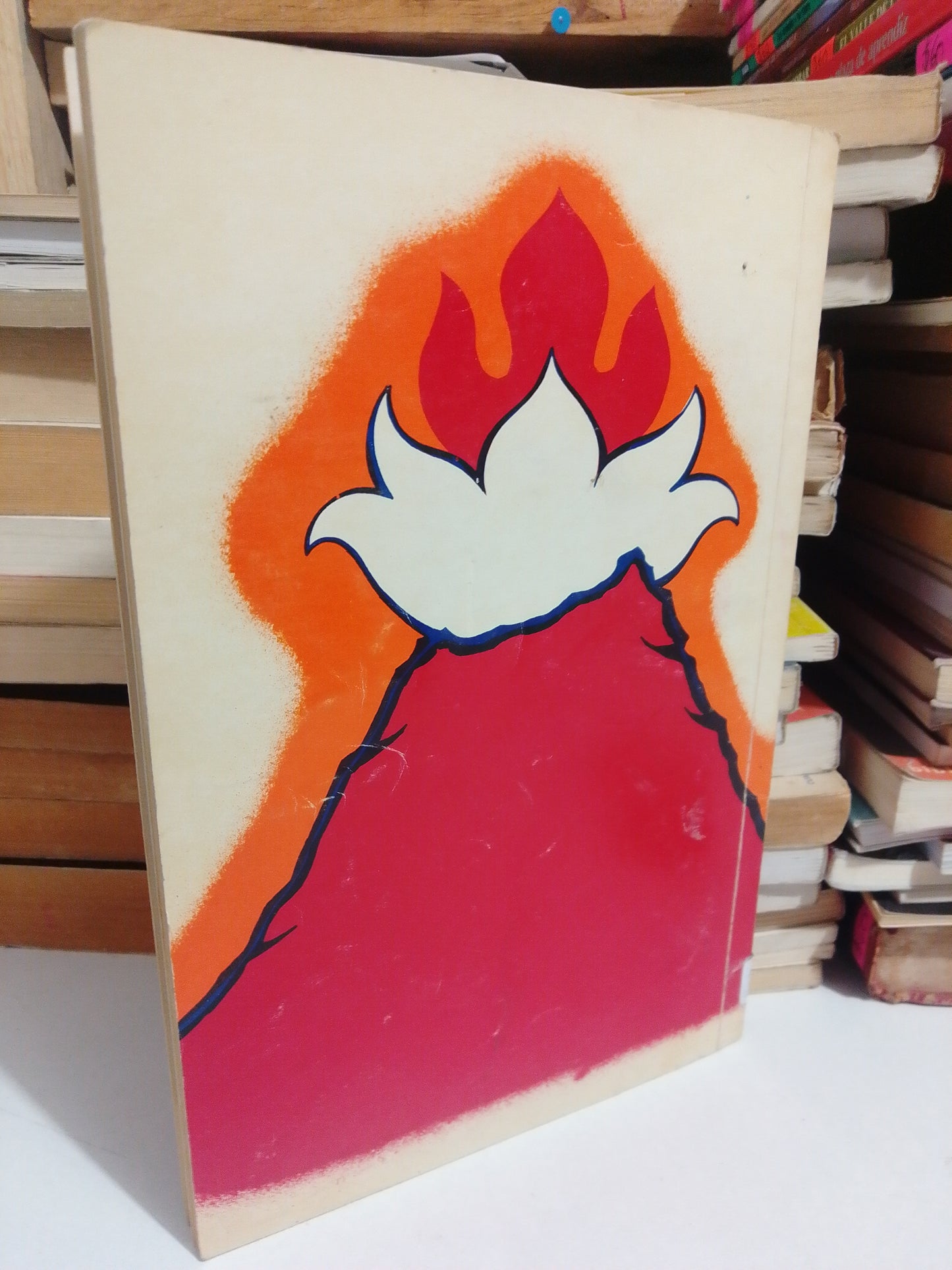 RECORRIDO DE LA SELVA ASOCIACIÓN DE SCOUTS MÉXICO USADO NOVELA JUÁREZ