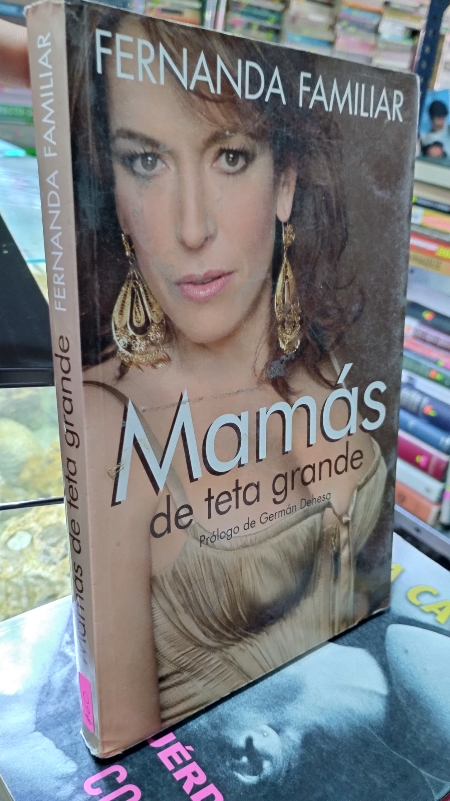 MAMAS DE TETA GRANDE POR FERNANDA FAMILIAR LIBRO USADO NOVELAS ALDAMA