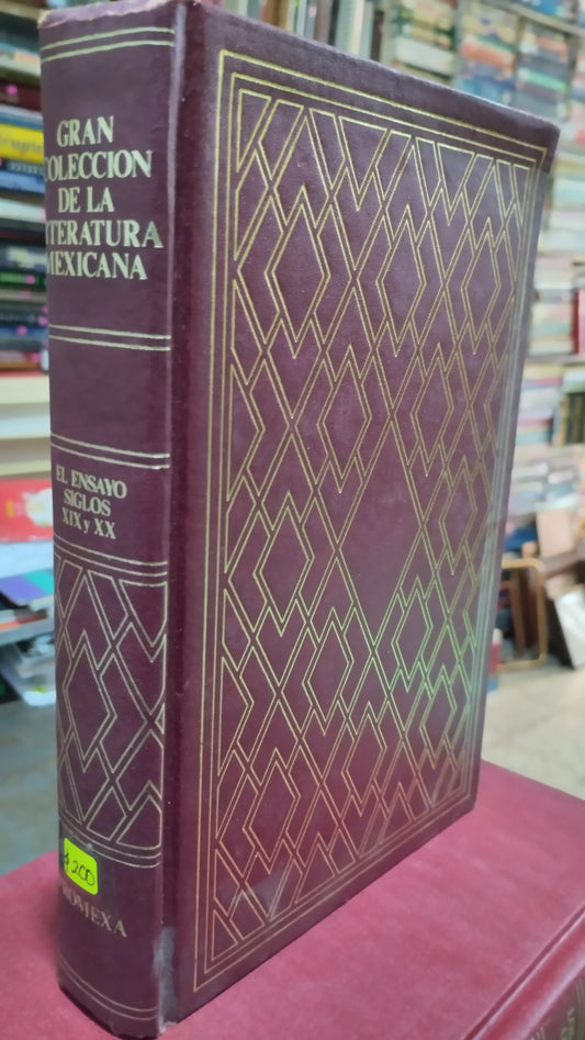EL ENSAYO SIGLOS XIX Y XX LIBRO USADO NOVELAS ALDAMA