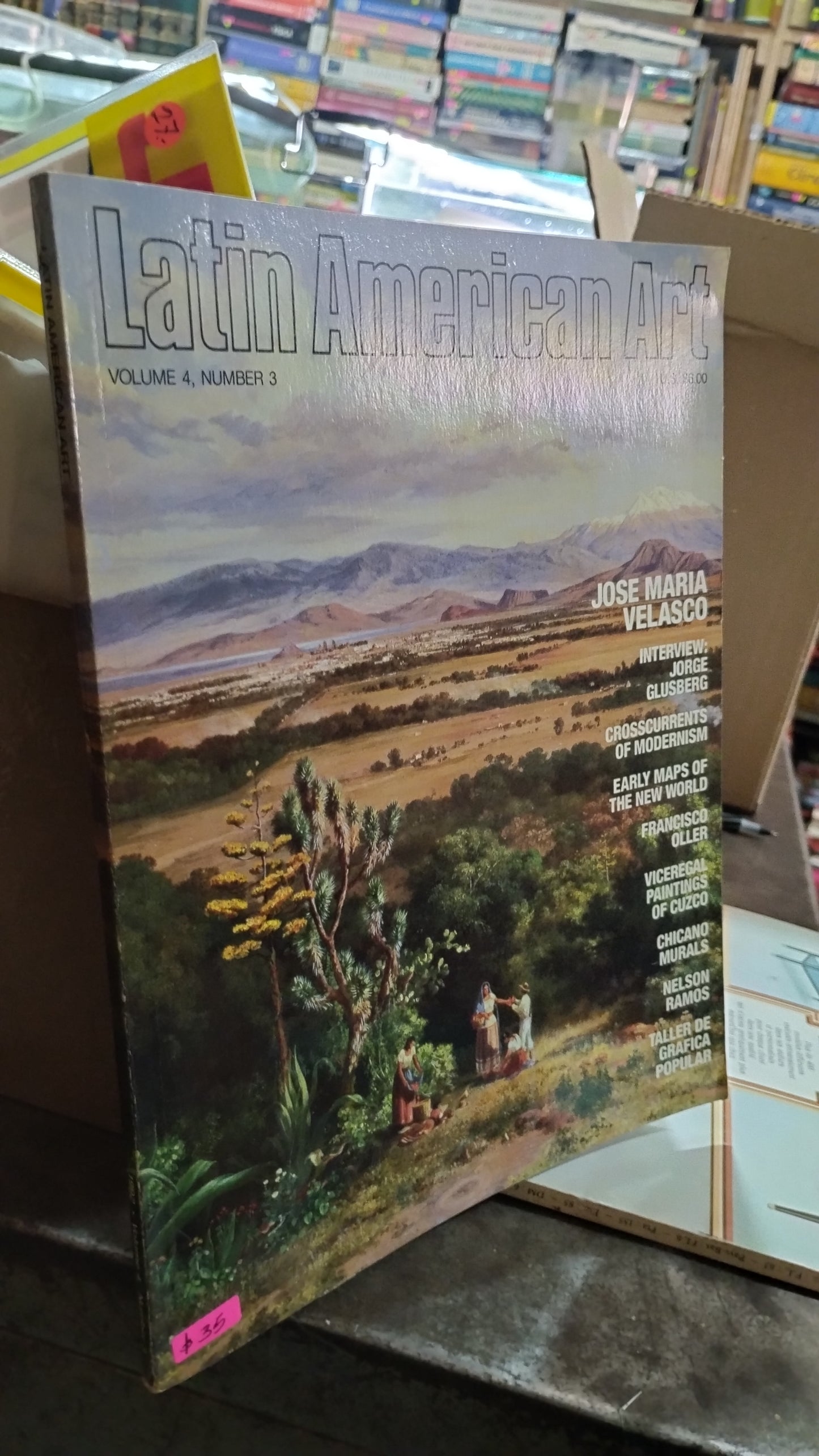 LATIN AMERICA ART LIBRO USADO ARTE ALDAMA