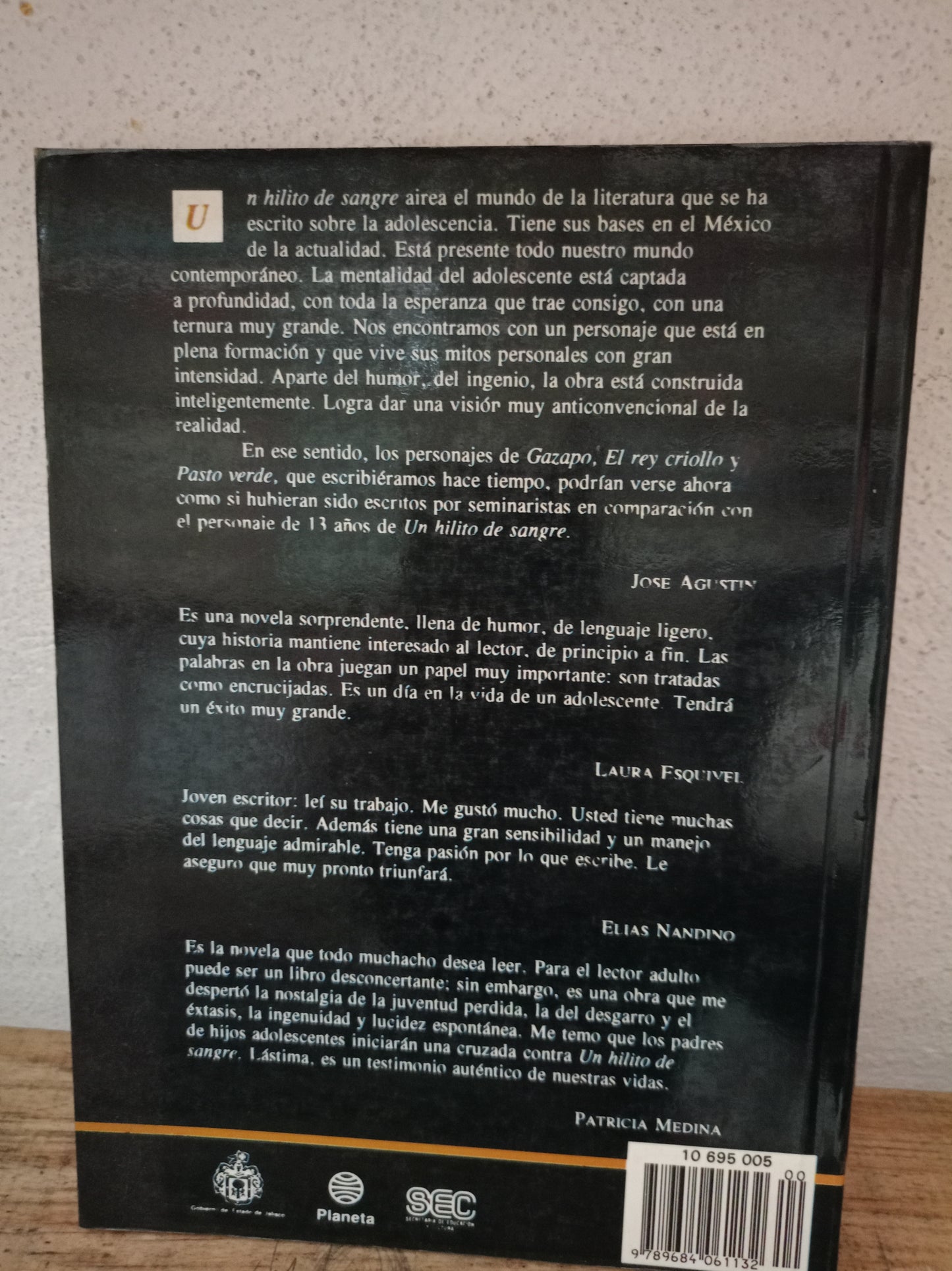 UN HILITO DE SANGRE POR EUSEBIO RUVALCABA USADO NOVELA LITERARIO 305