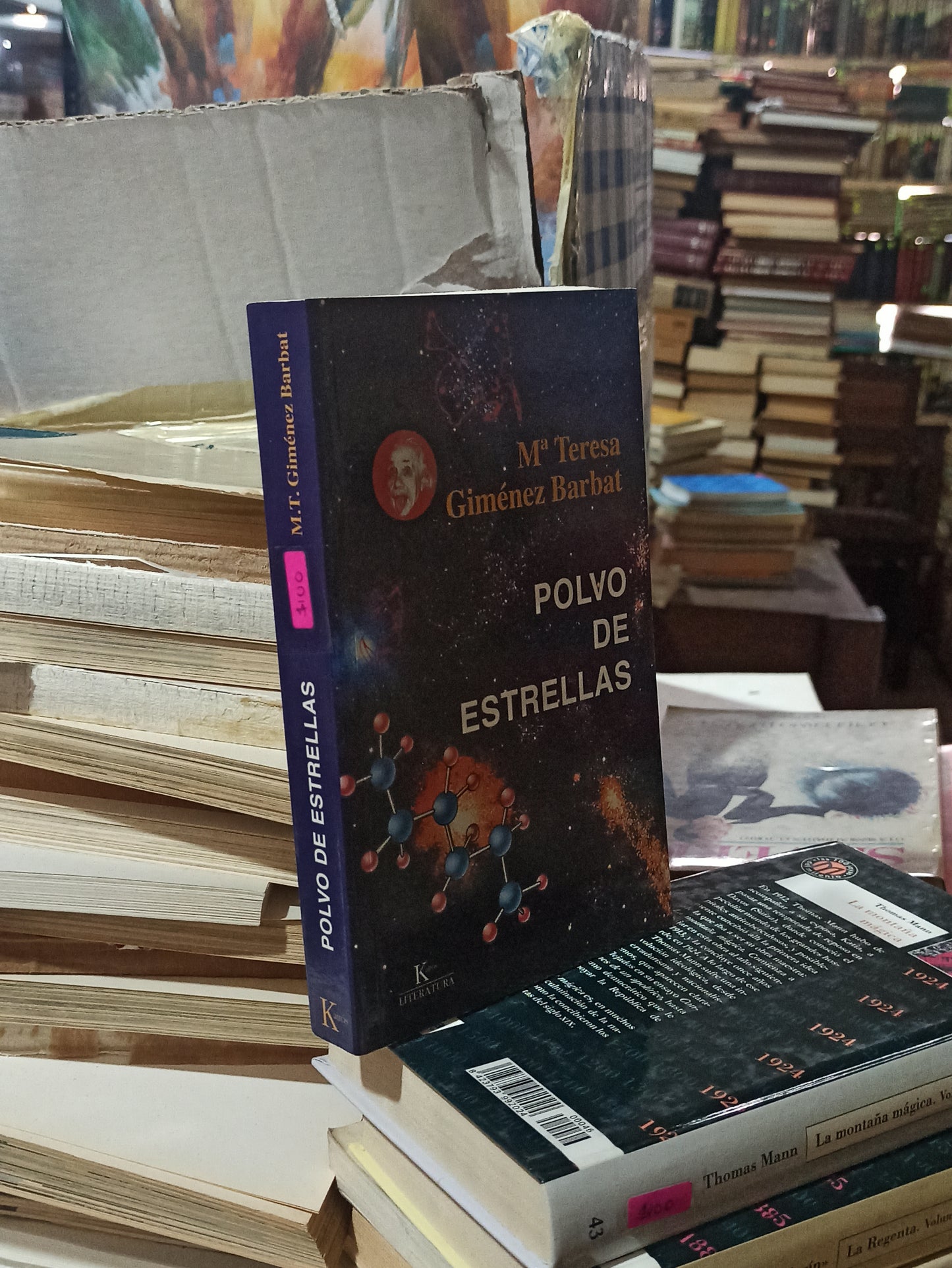 POLVO DE ESTRELLAS POR M. TERESA GIMENEZ USADO NOVELAS ALDAMA