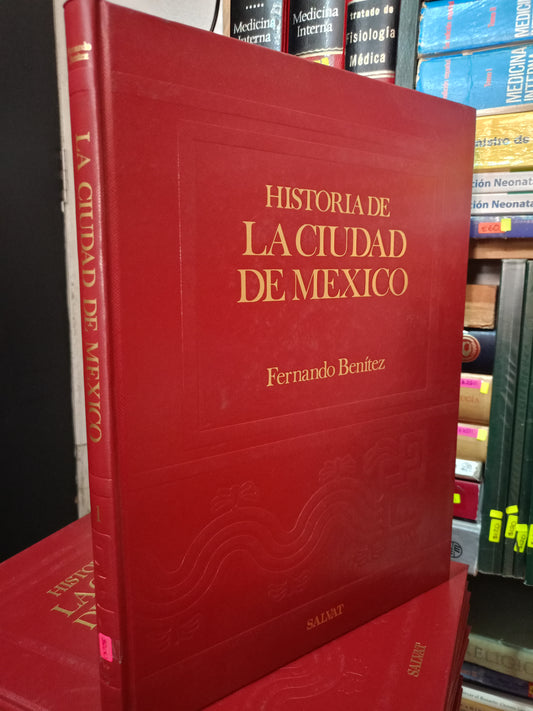 HISTORIA DE LA CIUDAD DE MÉXICO POR FERNANDO BENÍTEZ USADO HISTORIA LITERARIO 305