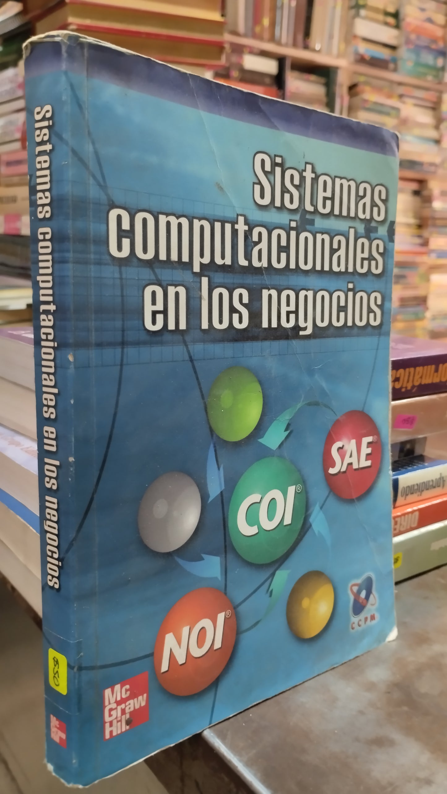 SISTEMAS COMPUTACIONALES EN LOS NEGOCIOS LIBRO USADO COMPUTACION ALDAMA