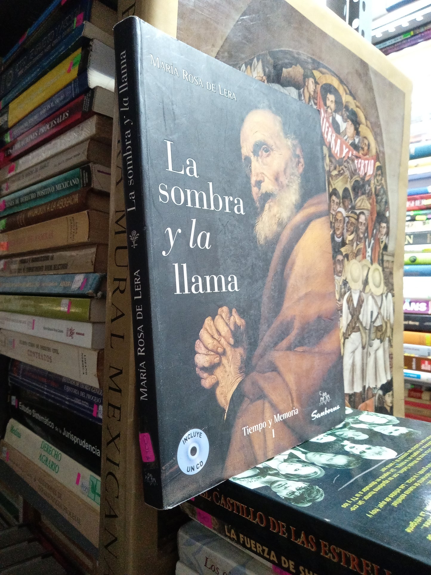 LA SOMBRA Y LA LLAMA POR MARIA ROSA DE LERA USADO NOVELA JUAREZ