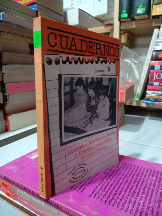 CUADERNOS CONCEPTOS BASICOS DE TEORIA Y PRACTICA PEDAGOGICA VOL 6 USADO EDUCACION JUAREZ