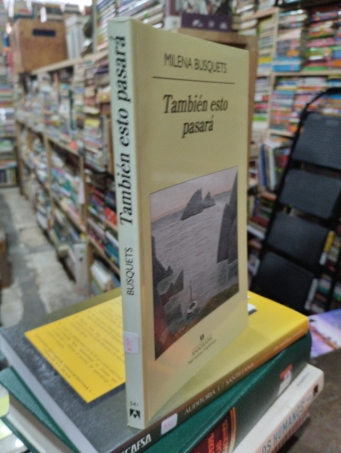 TAMBIEN ESTO PASARA POR MILENA BUSQUETS USADO NOVELAS ALDAMA
