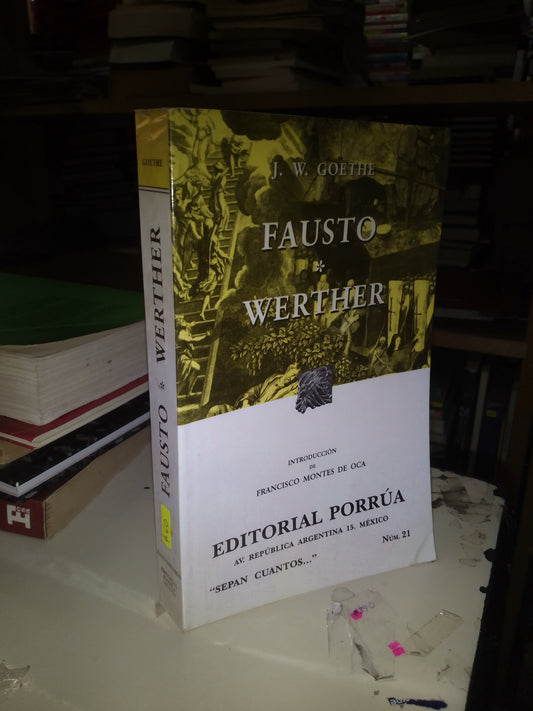 FAUSTO/WERTHER POR J.W. GOETHE USADO NOVELA LITERARIO 207