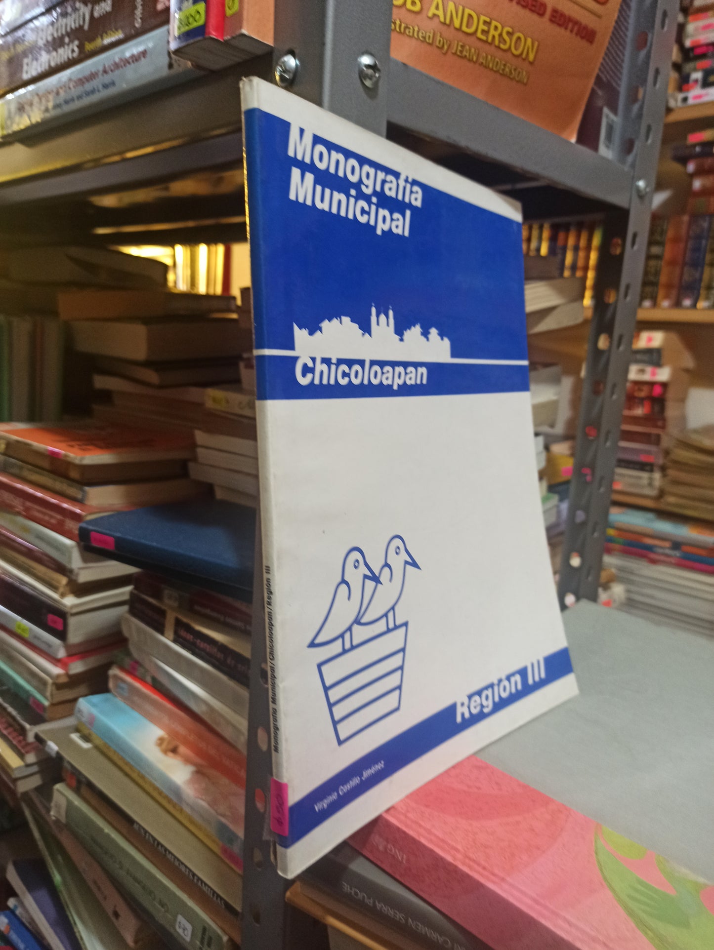 MONOGRAFIA MUNICIPAL CHICOLOAPAN POR VIRGINIA CASTILLO JIMÉNEZ USADO EDOMEX JUÁREZ
