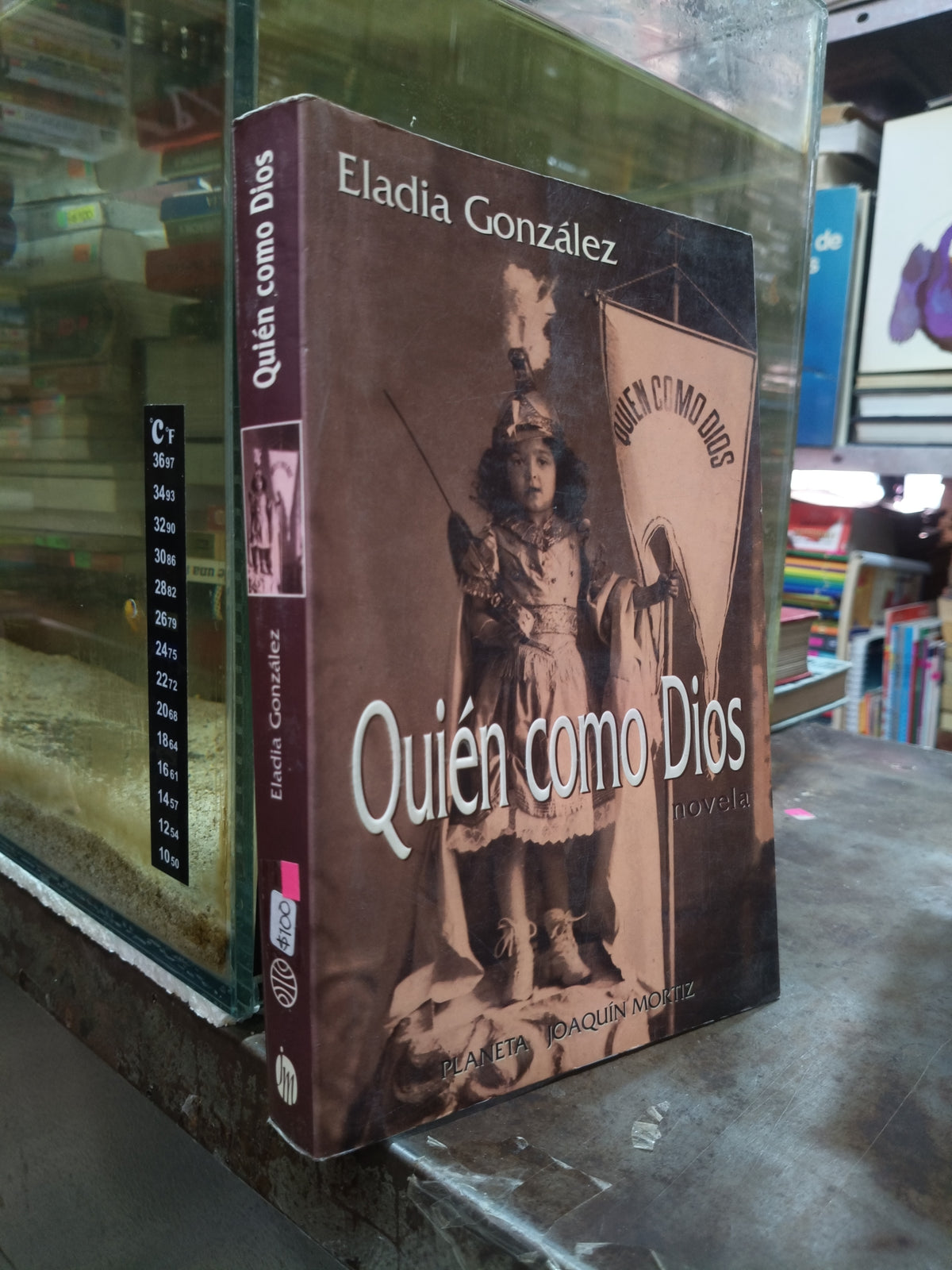 QUIEN COMO DIOS POR ELADIA GONZALEZ USADO NOVELA ALDAMA