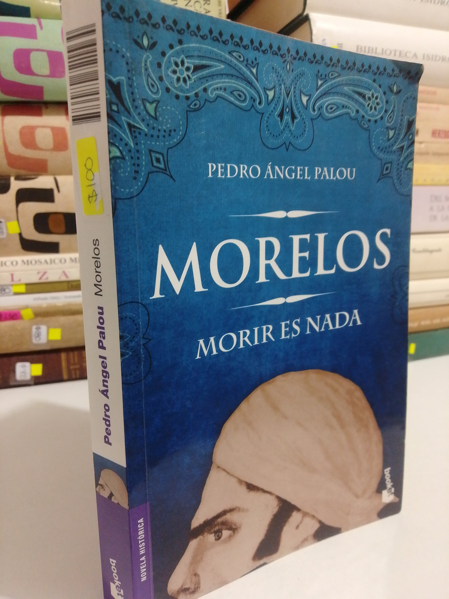 MORELOS POR PEDRO ANGEL PALOU USADO HISTORIA JUAREZ