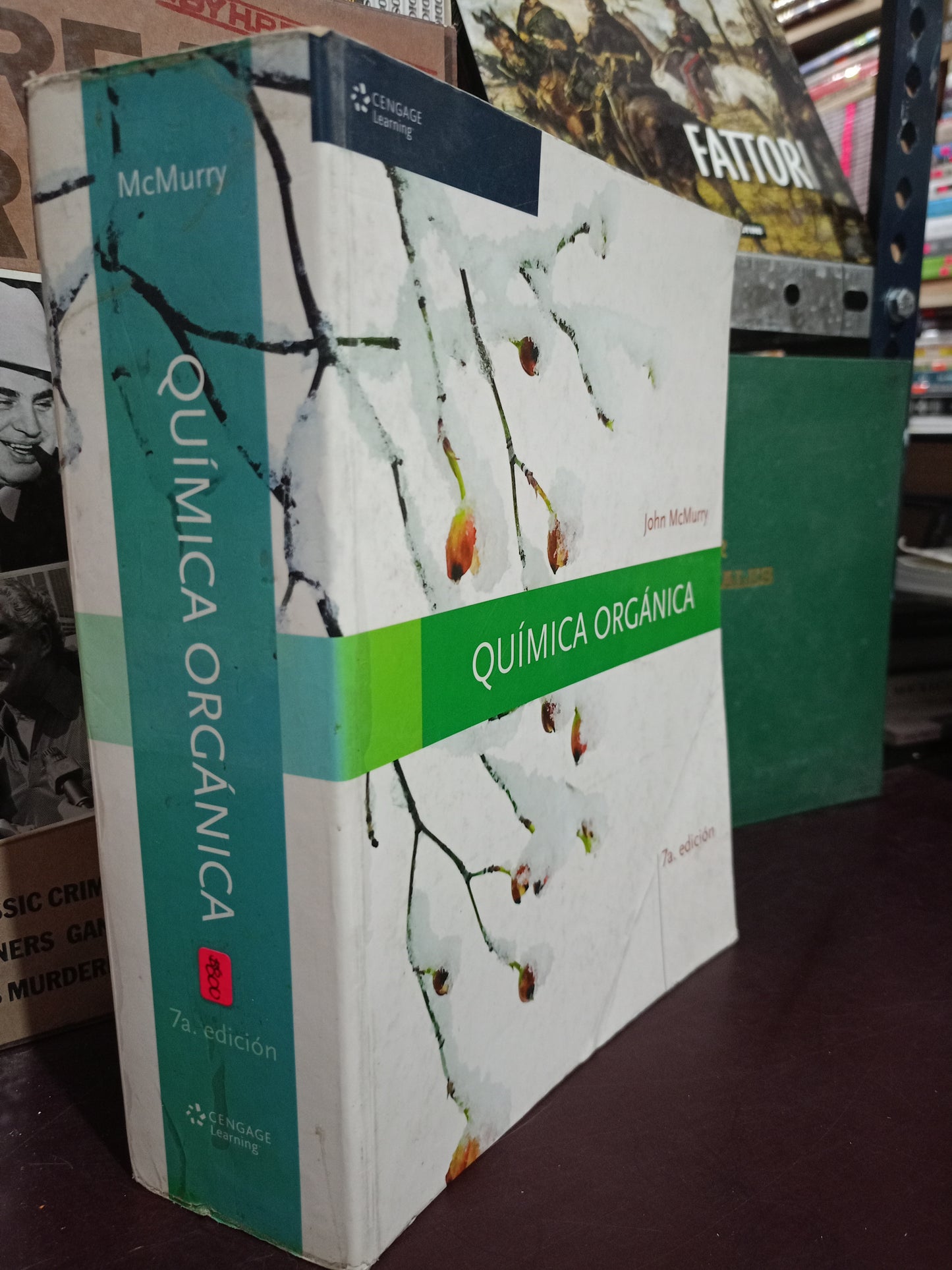 QUÍMICA ORGÁNICA JOHN MCMURRY USADO QUIMICA LITERARIO 305