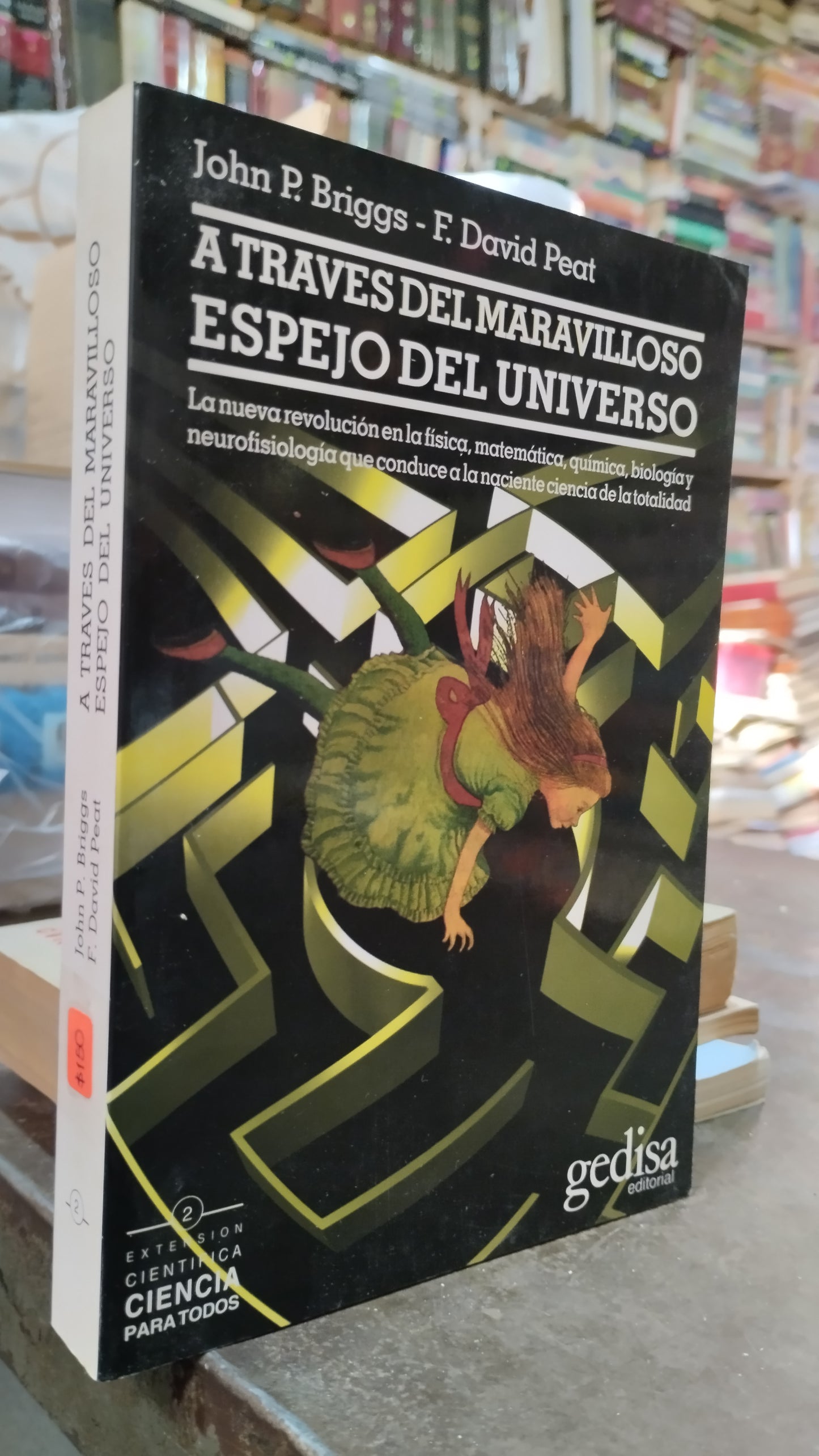 A TRAVES DEL MARAVILLOSO ESPEJO DEL UNIVERSO POR JOHN P BRIGGS LIBRO USADO CIENCIA ALDAMA