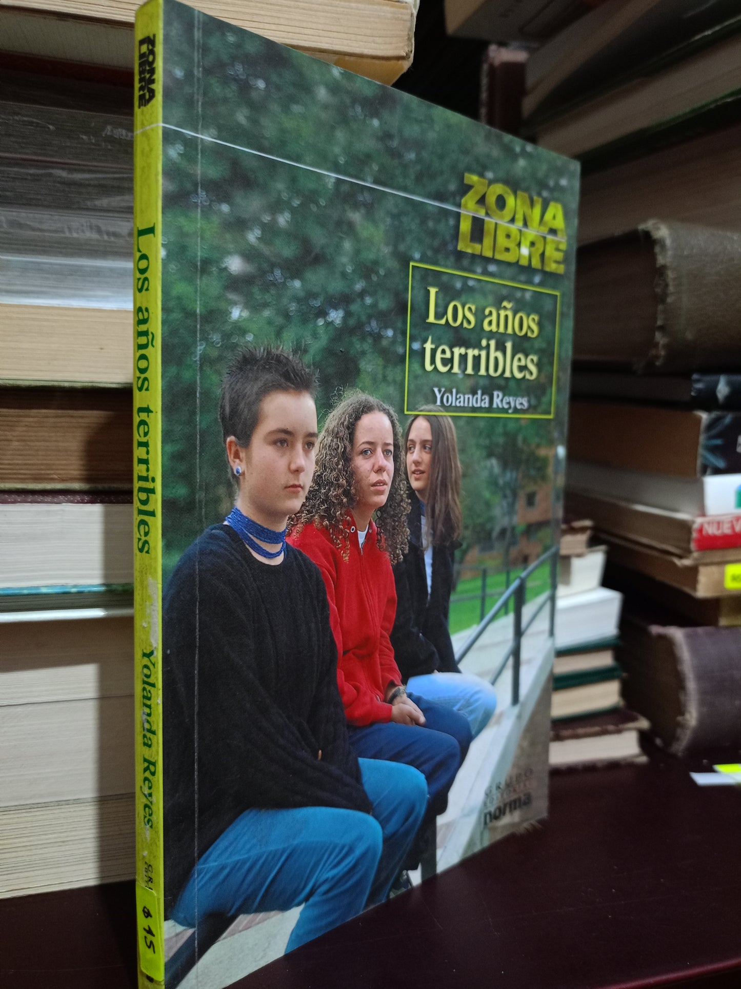 LOS AÑOS TERRIBLES POR YOLANDA REYES USADO NOVELA LITERARIO 305