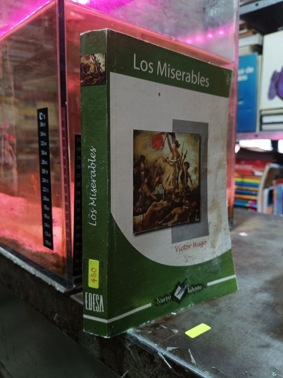 LOS MISERABLES POR VICTOR HUGO USADO NOVELA ALDAMA