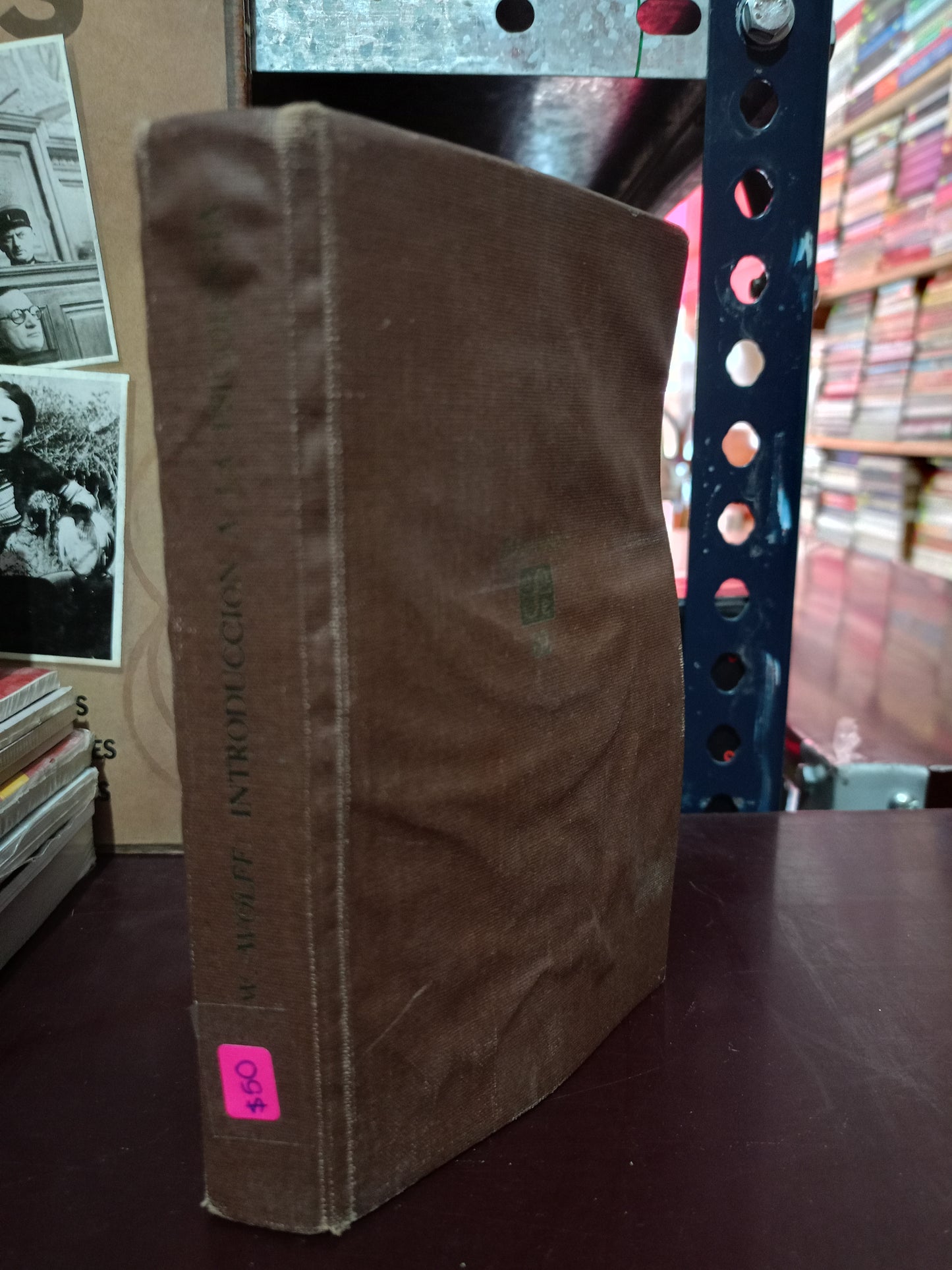 INTRODUCCIÓN A LA PSICOLOGÍA POR WERNER WOLFF USADO PSICOLOGÍA LITERARIO 305