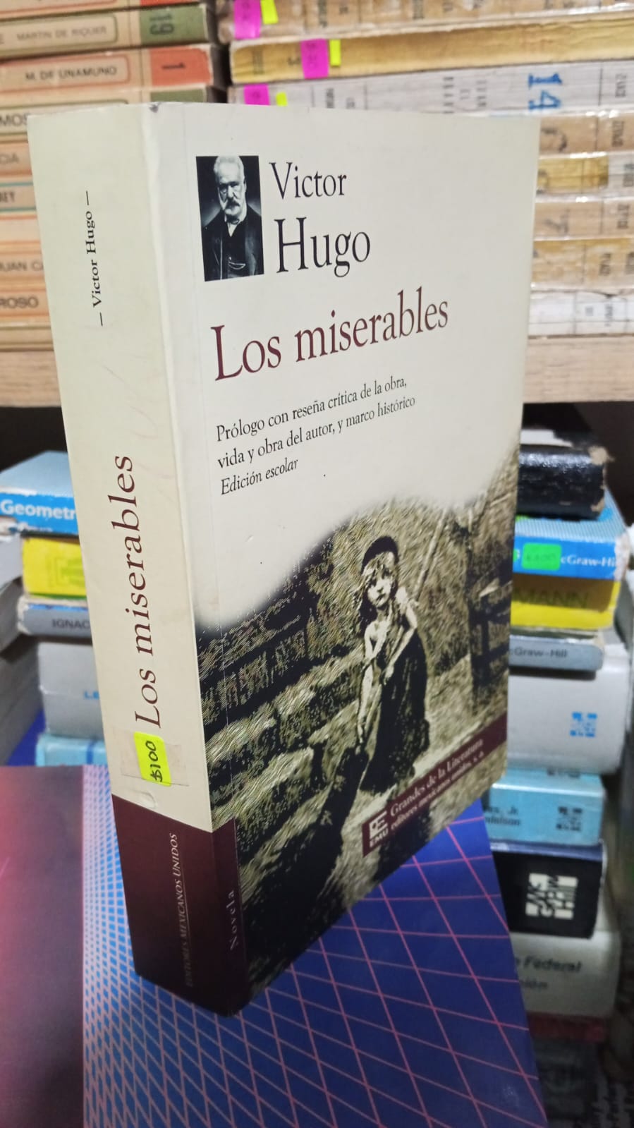 LOS MISERABLES DE VICTOR HUGO USADO NOVELA JUAREZ 507