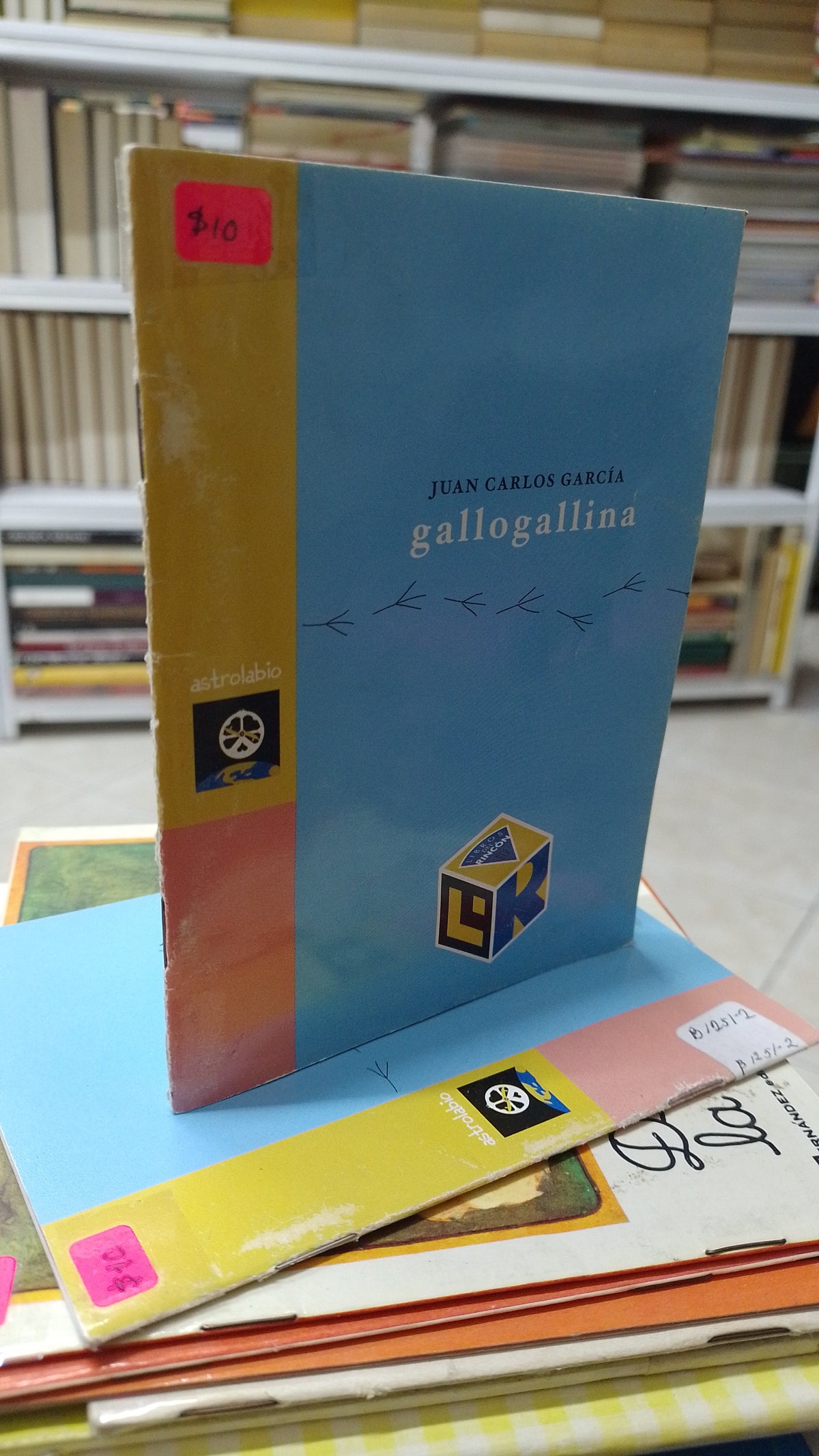 GALLOGALLINA POR JUAN CARLOS GARCIA USADO INFANTIL JUAREZ 515