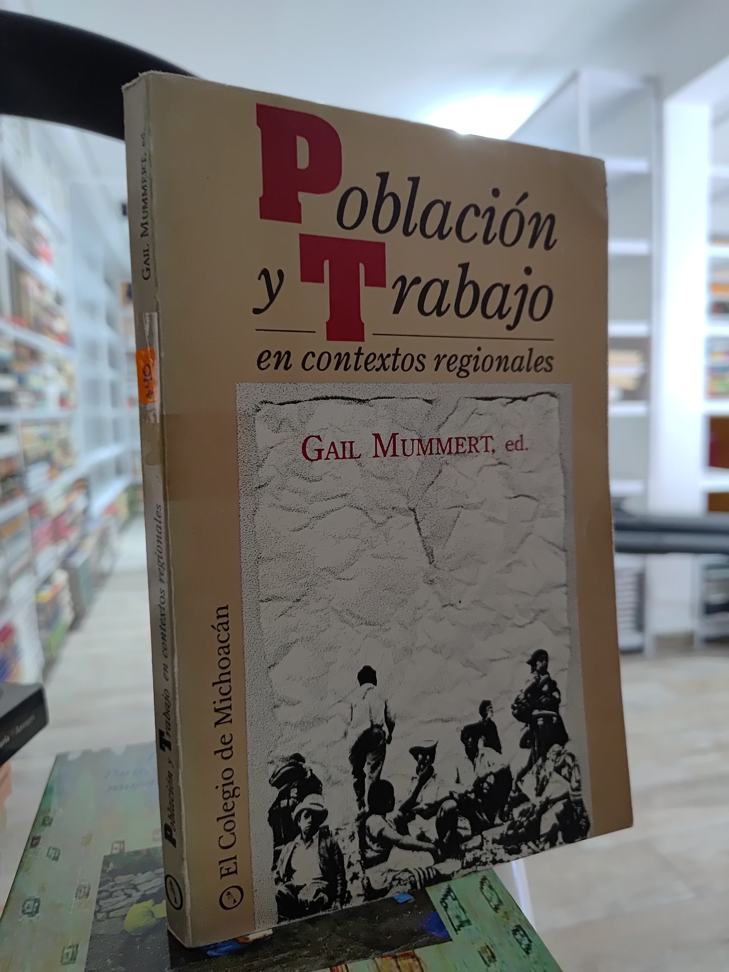POBLACION Y TRABAJO EN CONTEXTOS REGIONALES POR GAIL MUMMERT USADO SOCIOLOGIA JUAREZ 515