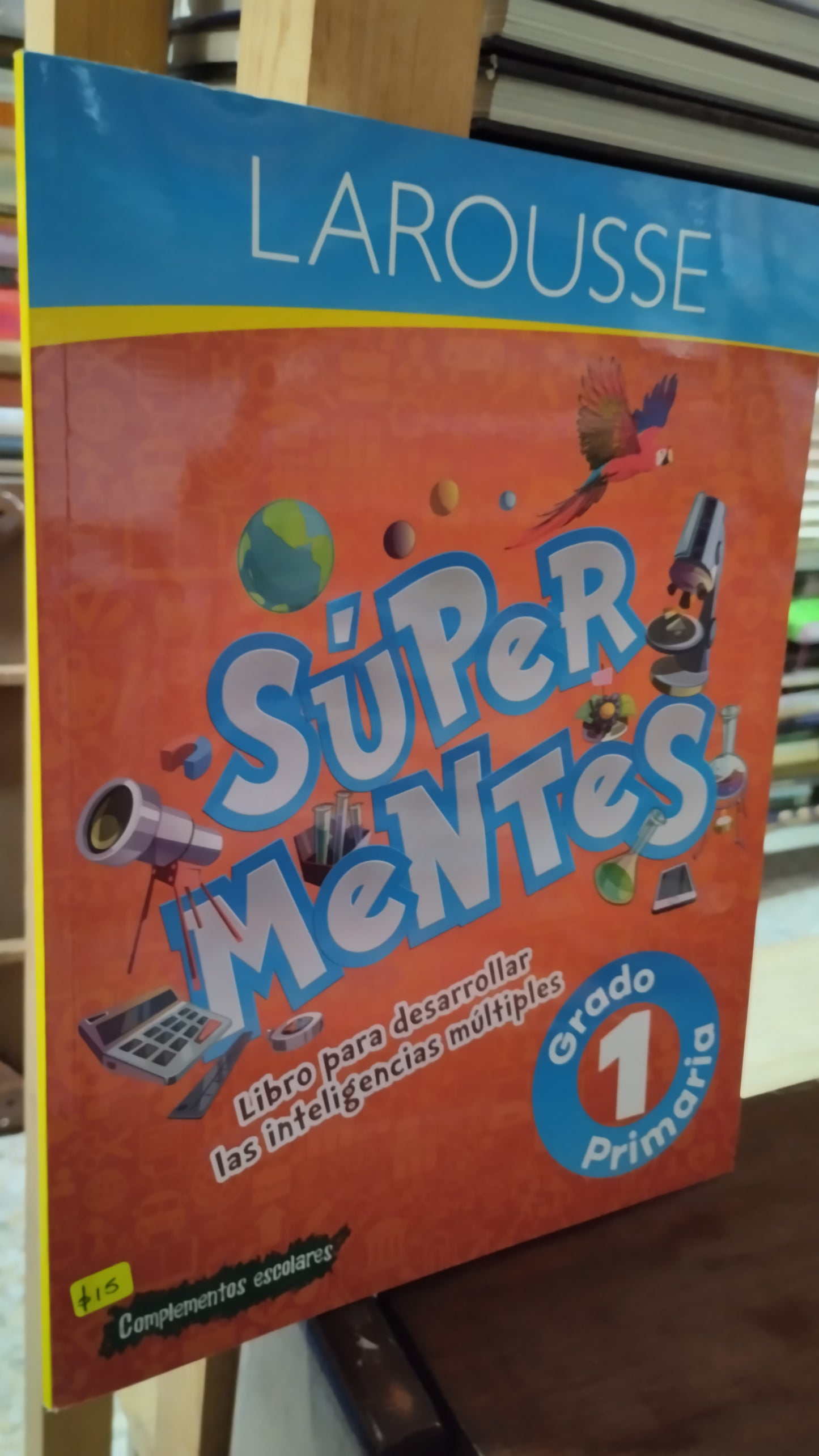 SUPER MENTES LIBRO PARA DESARROLLAR LAS INTELIGENCIAS MULTIPLES LIBRO USADO INFANTIL ALDAMA