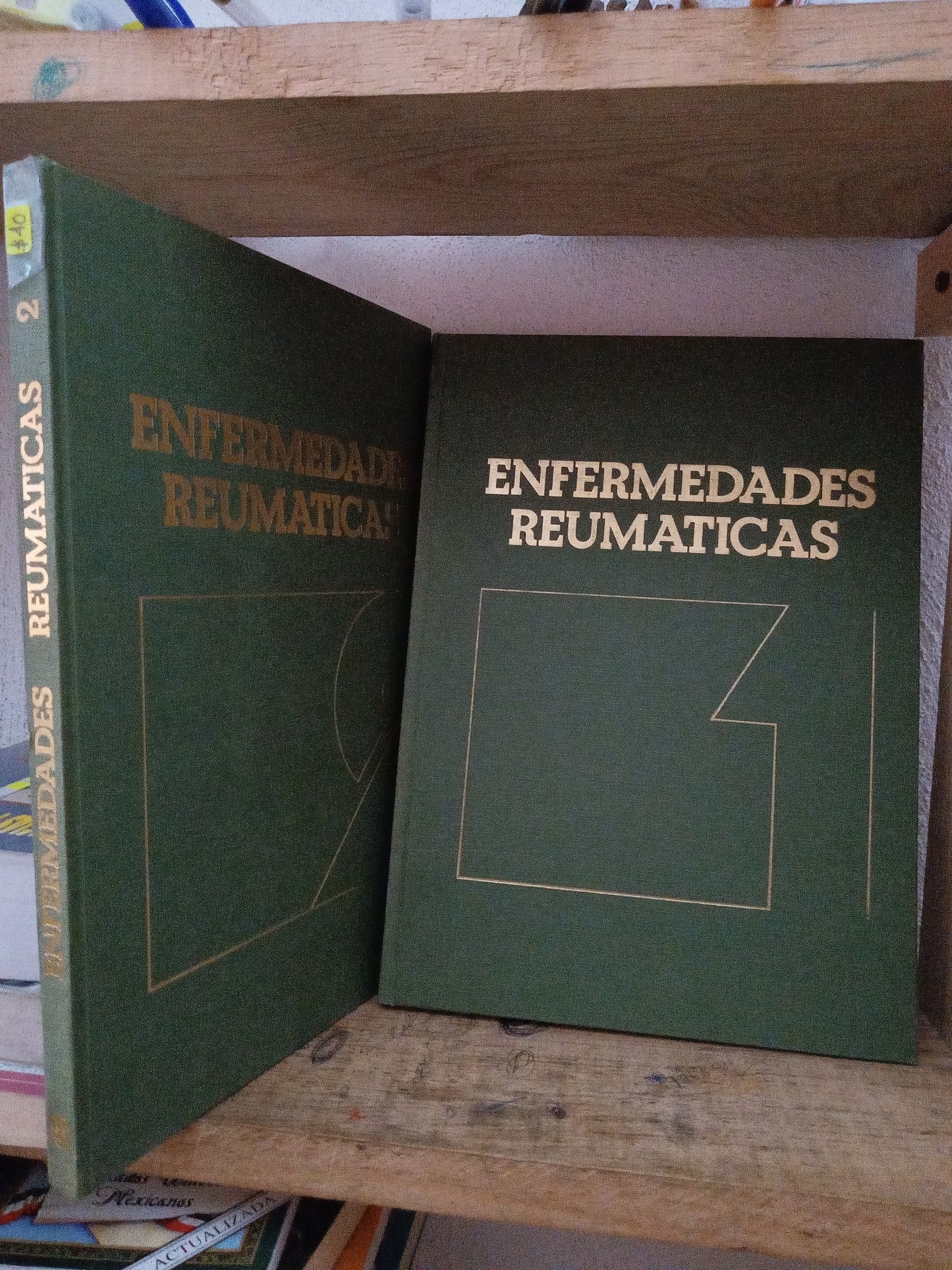 ENFERMEDADES REUMATICAS 2TOMOS USADO SALUD LITERARIO 305