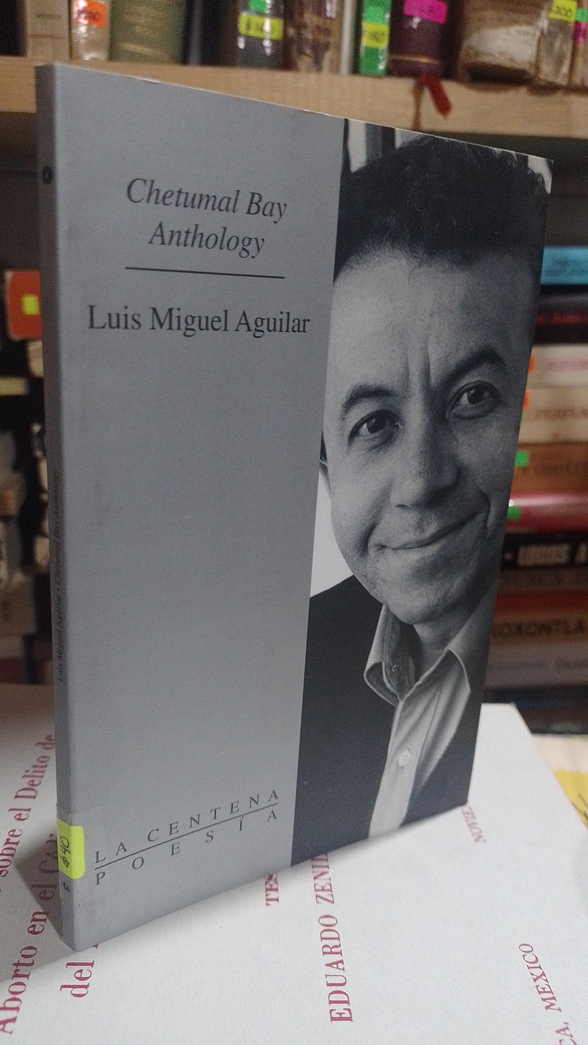 CHETUMAL BAY ANTOLOGY POR LUIS MIGUEL AGUILA USADO NOVELA ALDAMA