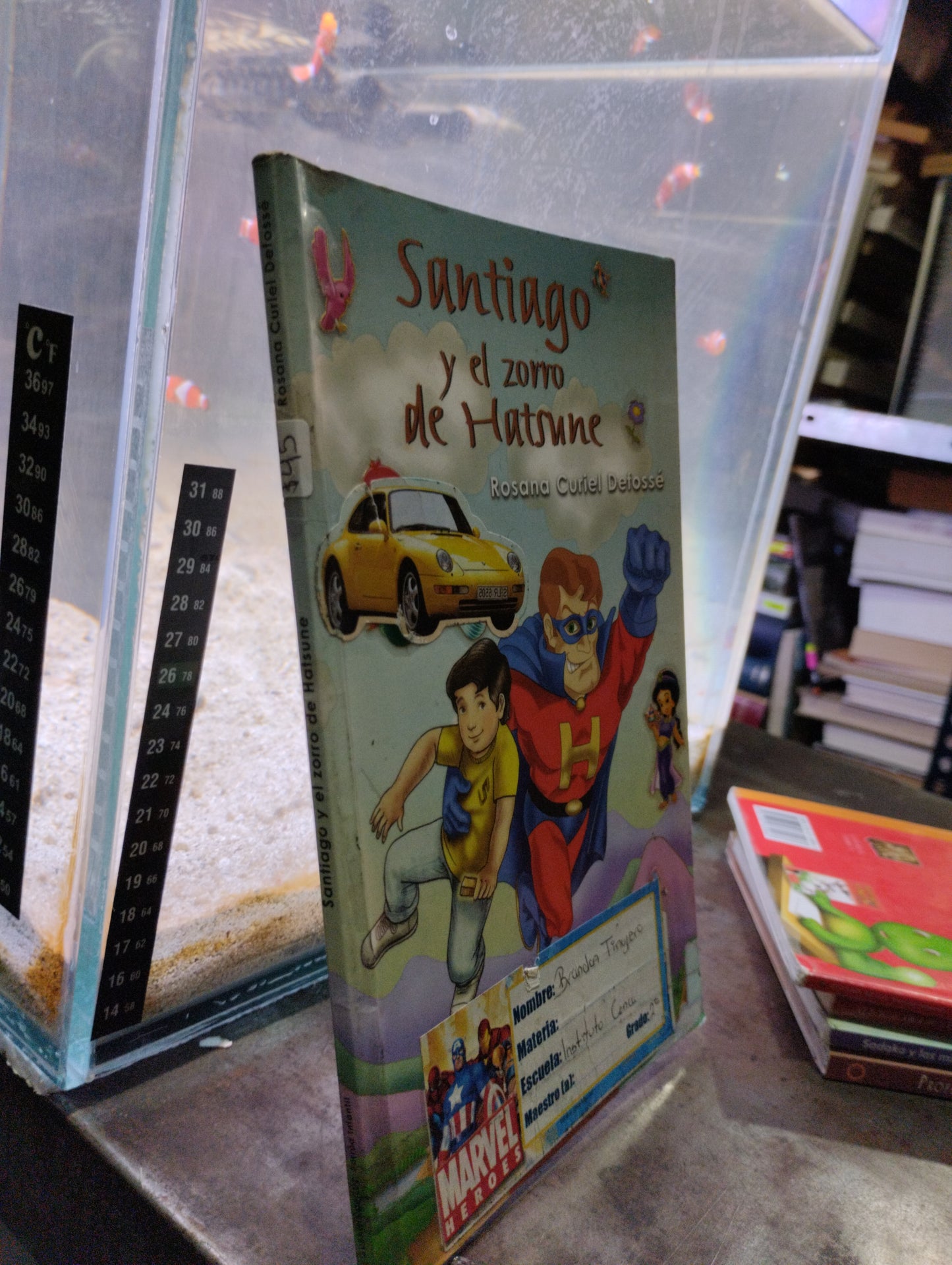 SANTIAGO Y EL ZORRO DE HASTSUNNE POR ROSANA CURIEL USADO INFANTIL ALDAMA
