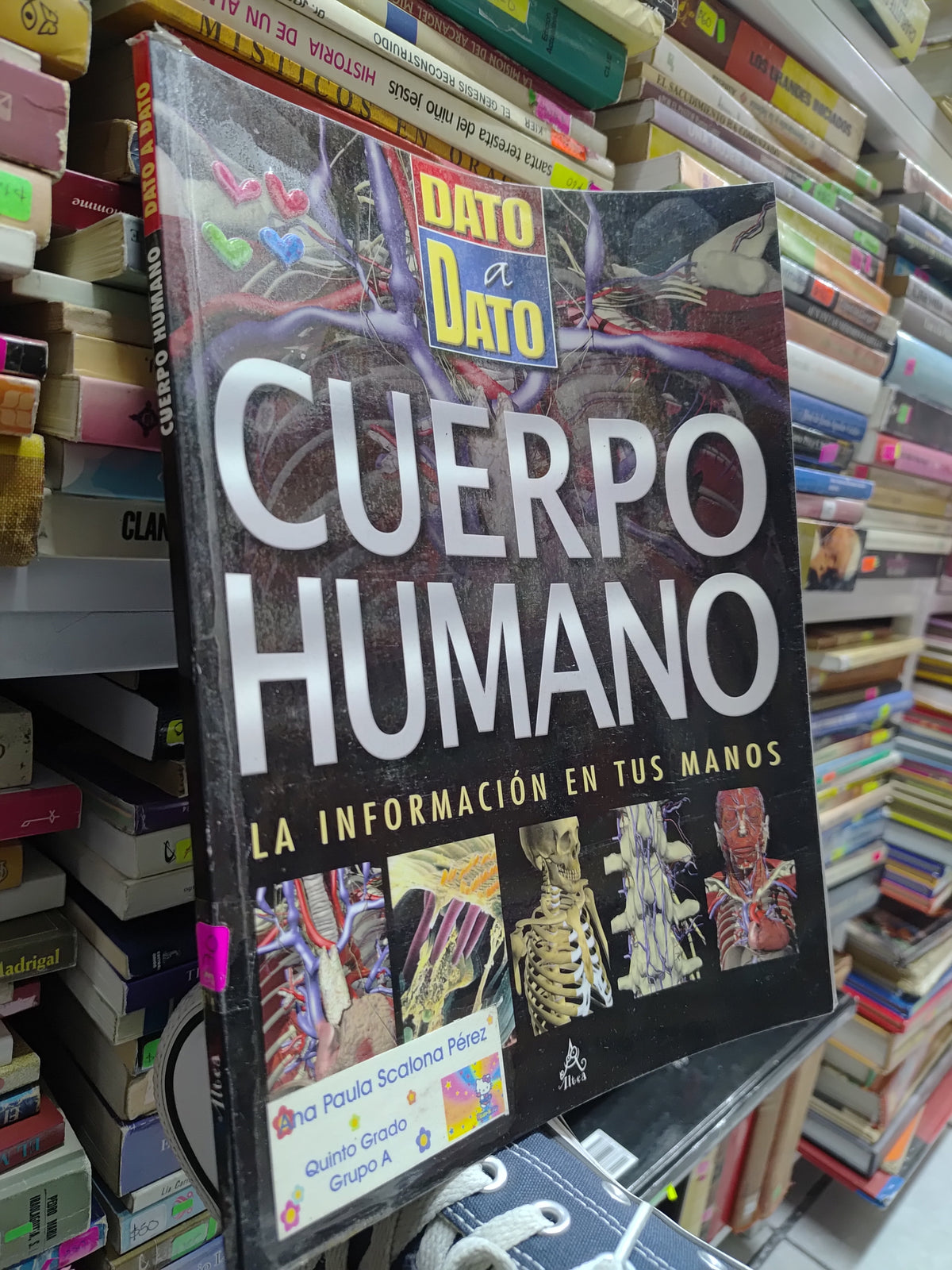CUERPO HUMANO POR EDITORIAL ALTEA USADO SALUD JUAREZ 507
