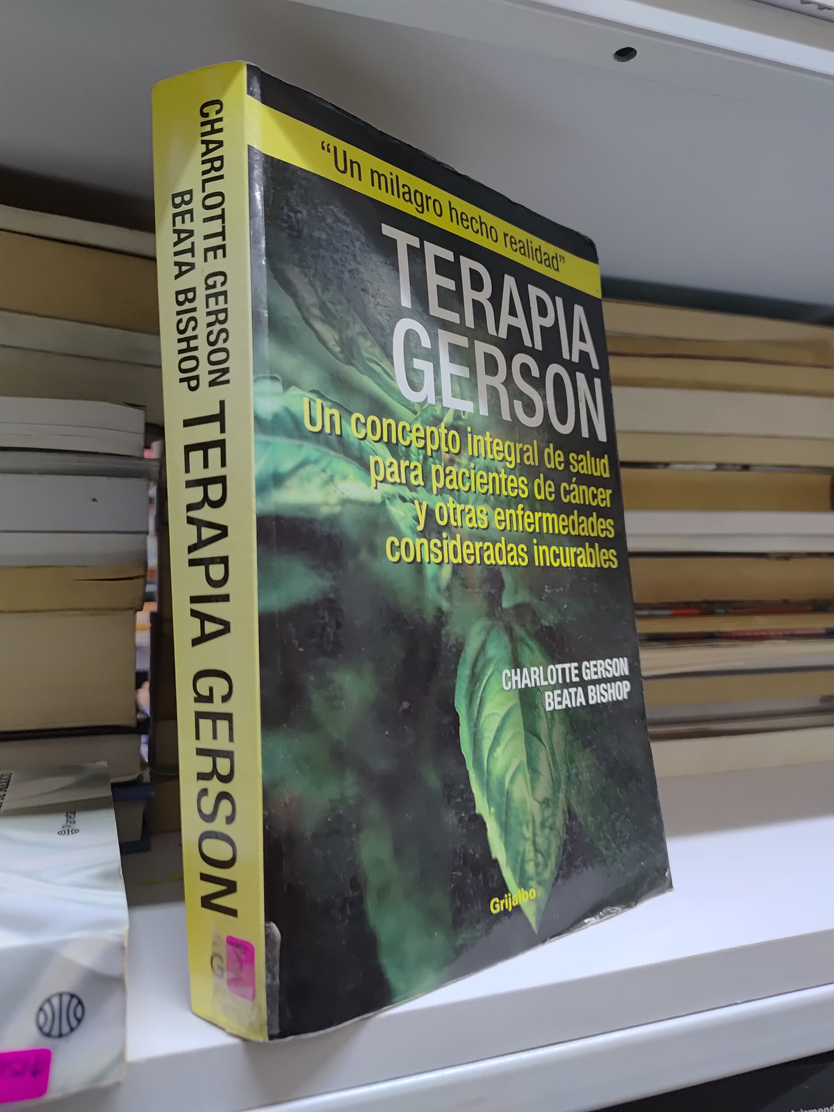 TERAPIA GERSON POR CHARLOTTE GERSON USADO SALUD JUAREZ 507