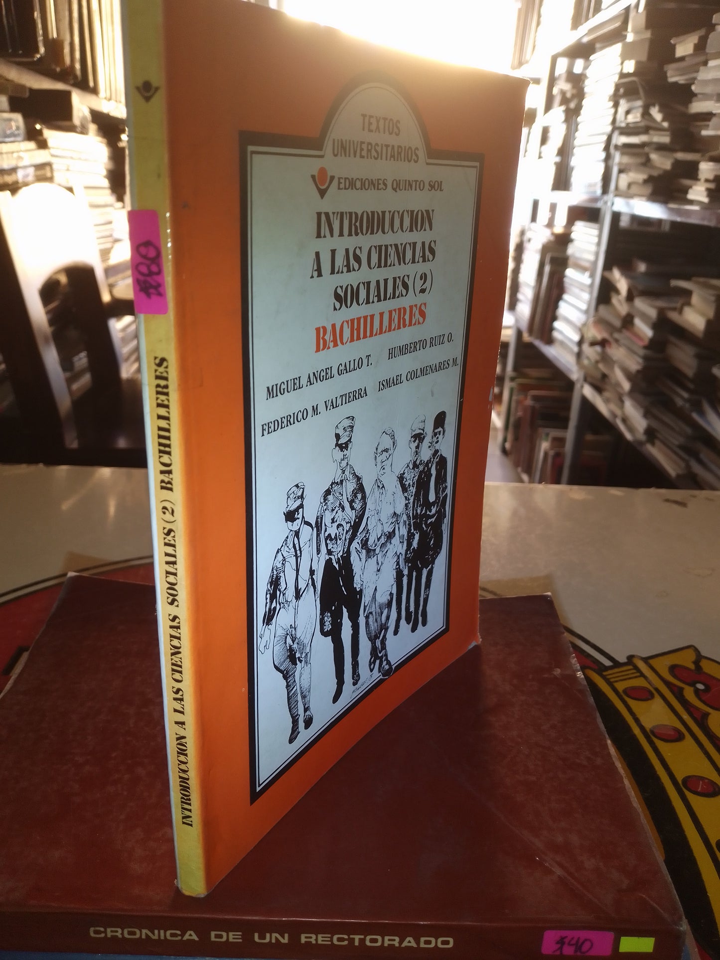 INTRODUCCIÓN A LAS CIENCIAS SOCIALES 2 BACHILLERES POR AUTORES VARIOS USADO SOCIOLOGÍA LITERARIO 207