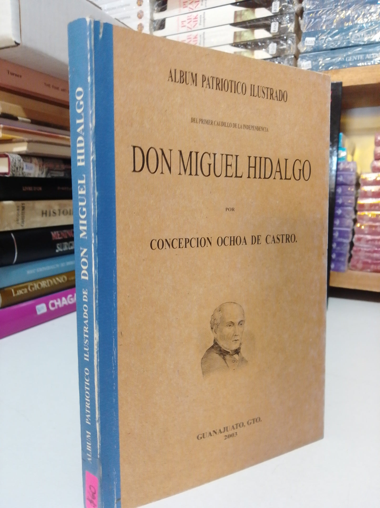 DON MIGUEL HIDALGO POR CONCEPCION OCHOA DE CASTRO USADO HISTORIA JUAREZ