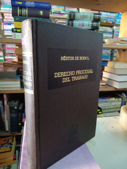 DERECHO PROCESAL DEL TRABAJO POR NESTOR DE BUEN L USADO DERECHO LITERARIO 207