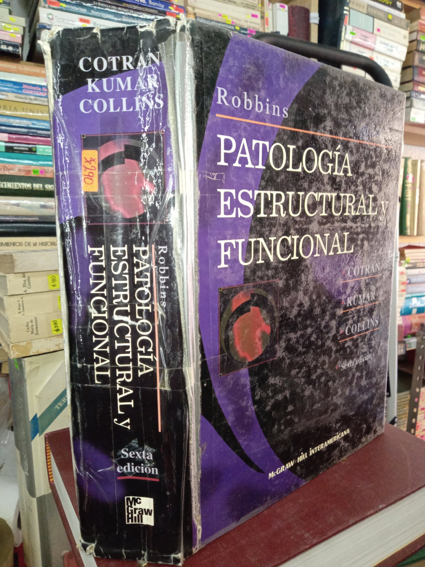 PATOLOGIA ESTRUCTURAL Y FUNCIONAL POR AUTORES VARIOS USADO MEDICINA LITERARIO 207
