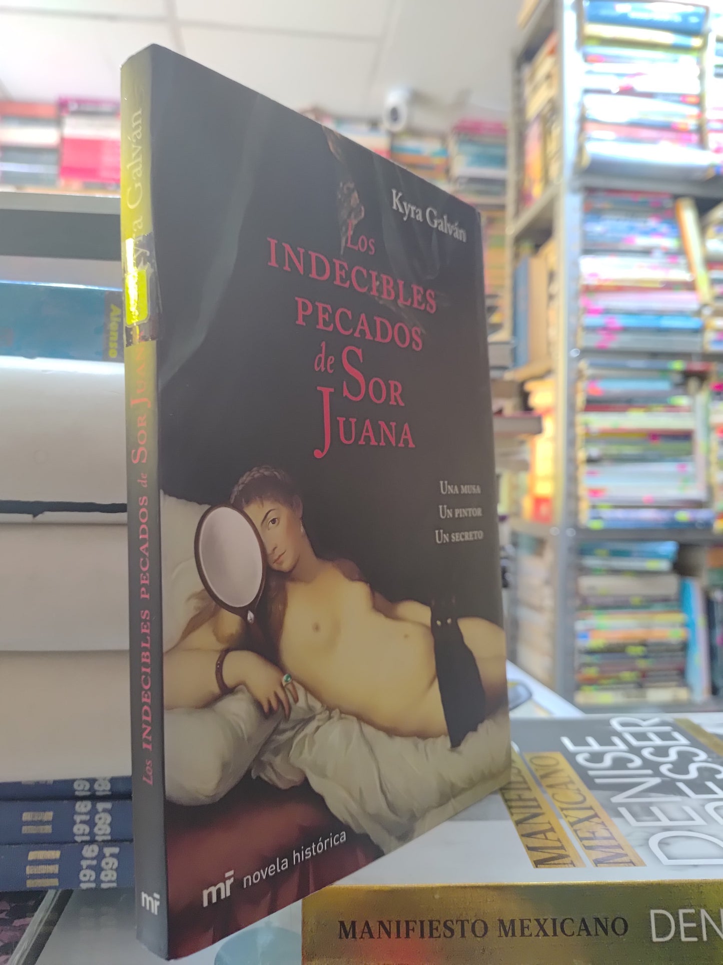 LOS INDECIBLES PECADOS DE SOR JUANA POR KYRA GALVAN USADO NOVELAS JUAREZ 507
