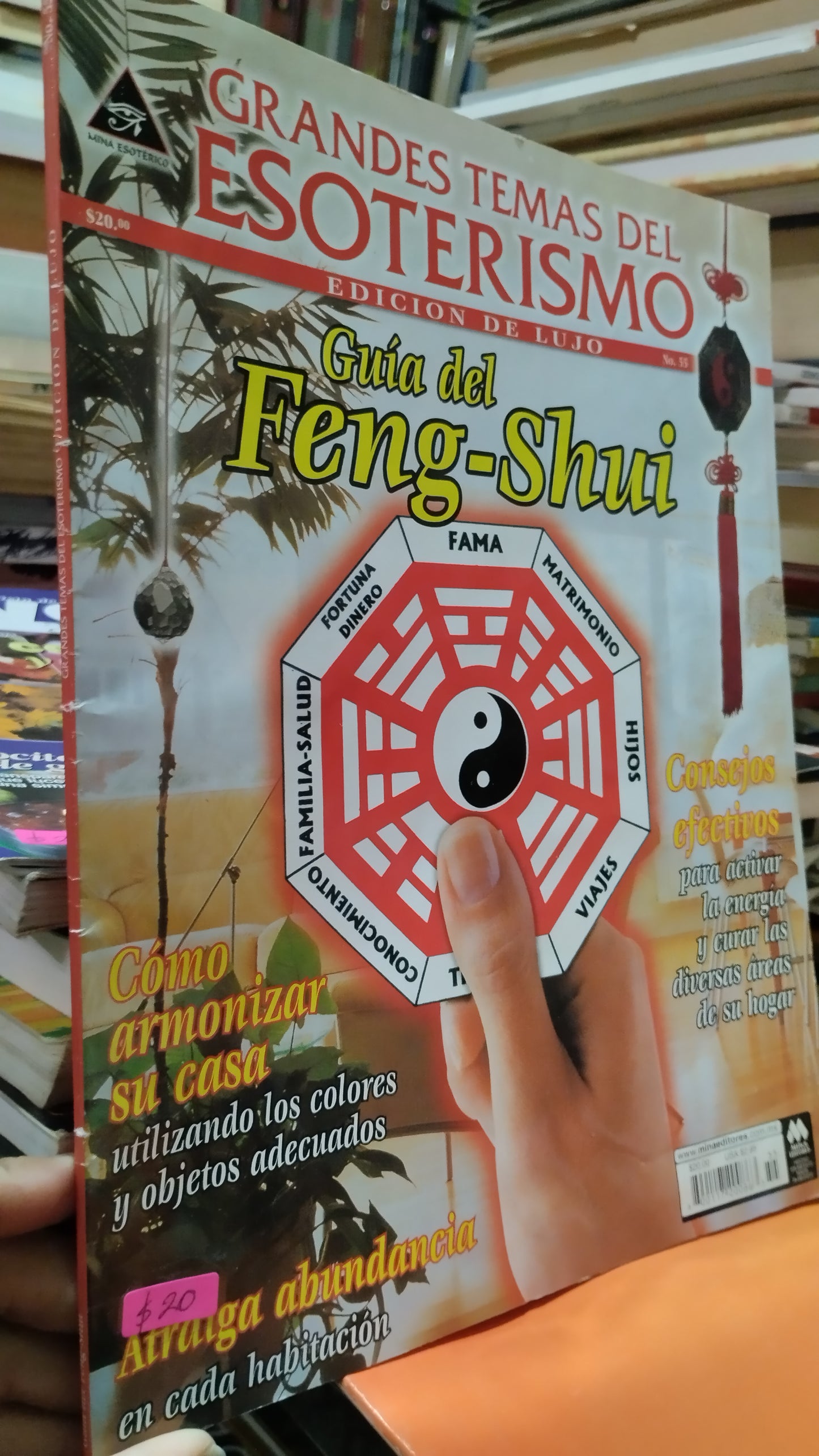 GUIA DEL FENG SHUI LIBRO USADO ESOTERISMO ALDAMA