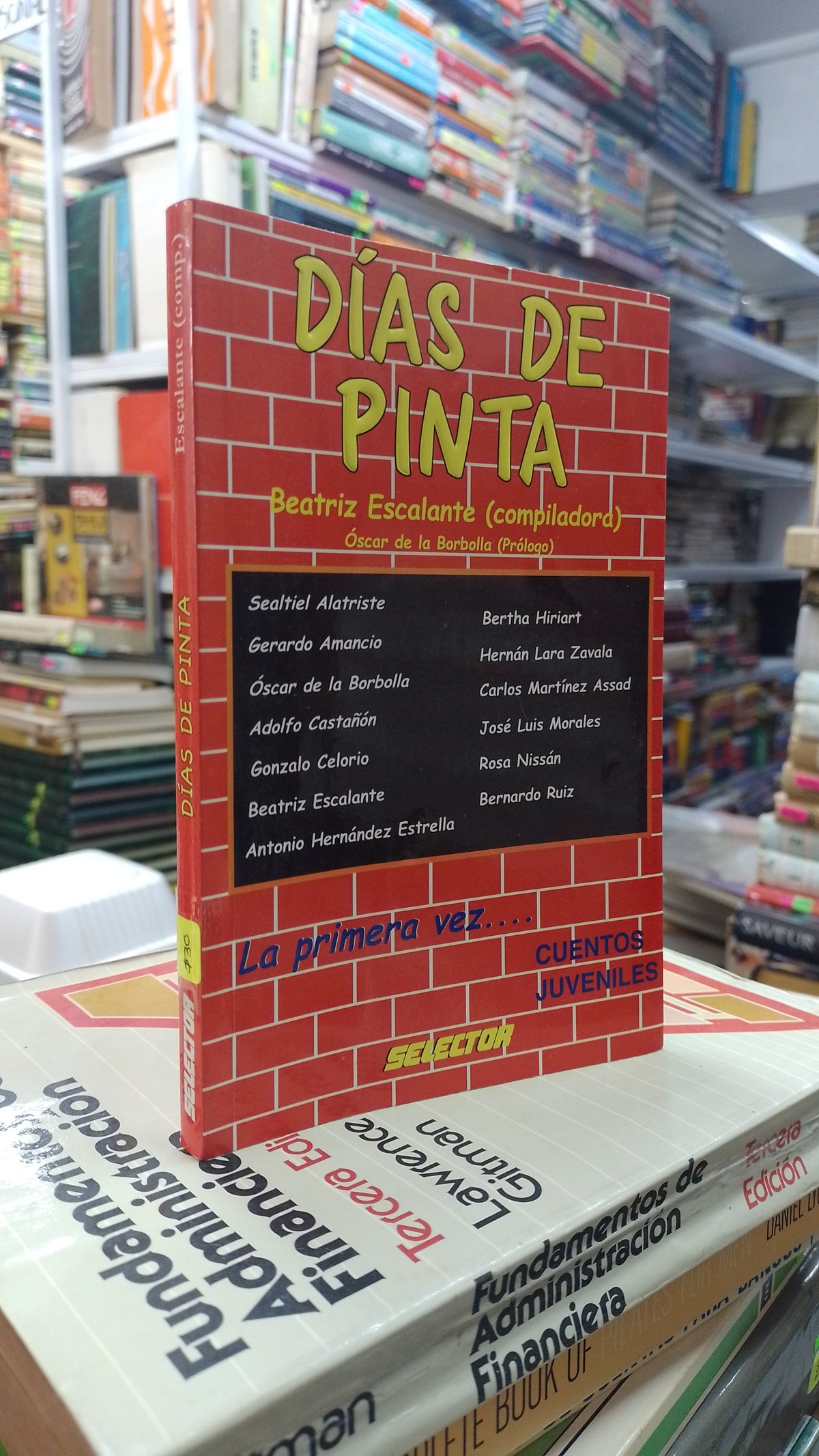 DIAS DE PINTA POR BEATRIZ ESCALANTE USADO INFANTIL JUAREZ 507