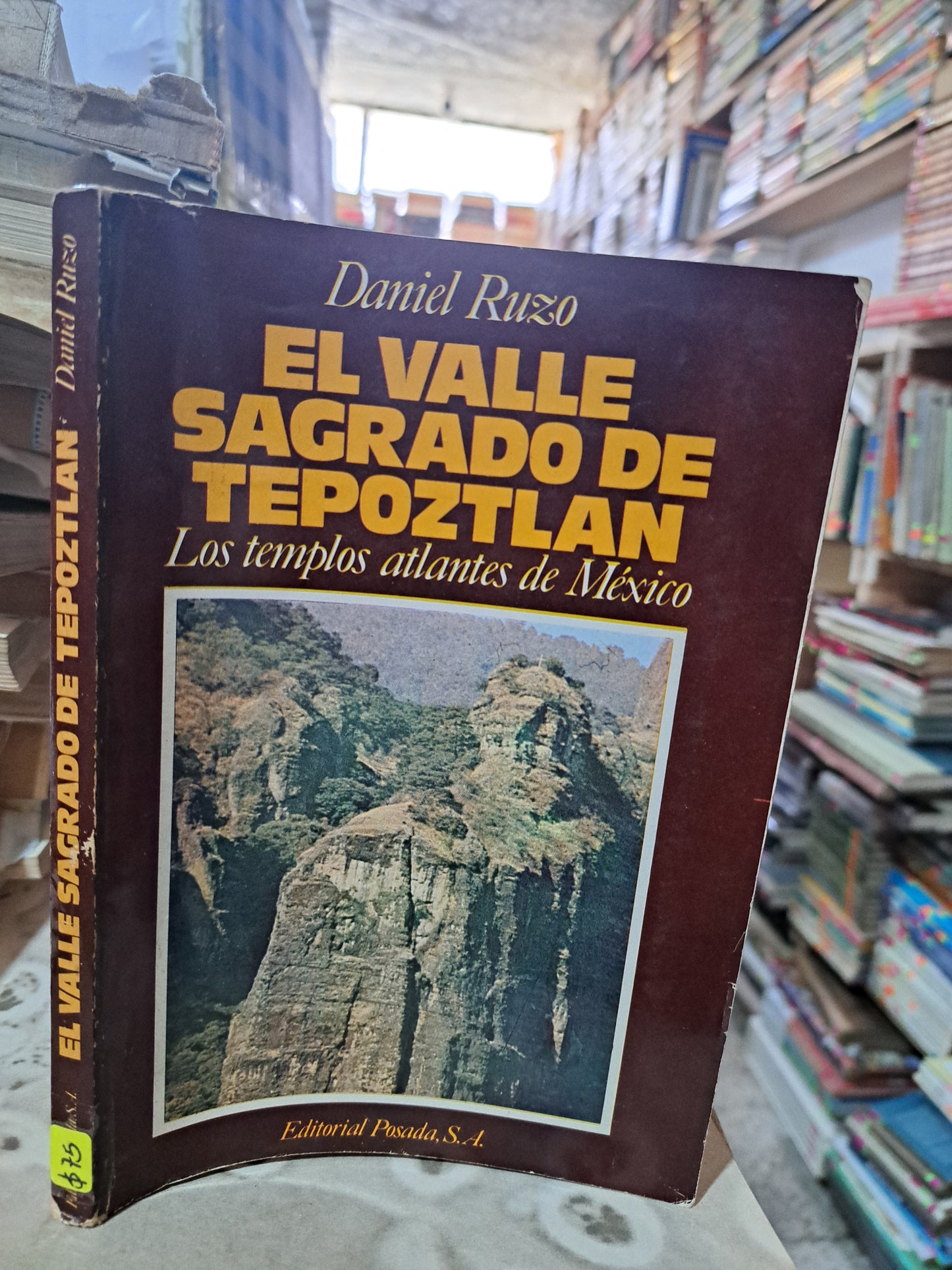 EL VALLE SAGRADO DE TEPOZTLAN DANIEL RUZO USADO ESTADO DE MÉXICO ALDAMA