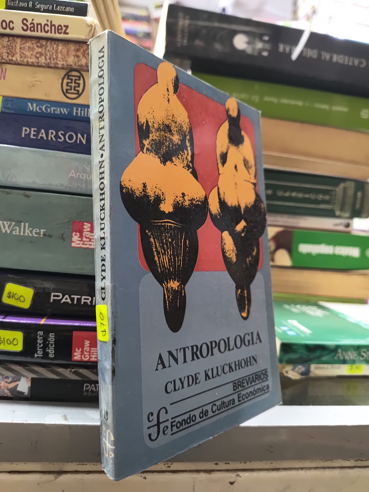ANTROPOLOGIA POR CLYDE KLUCKHOHN USADO HISTORIA JUAREZ 507