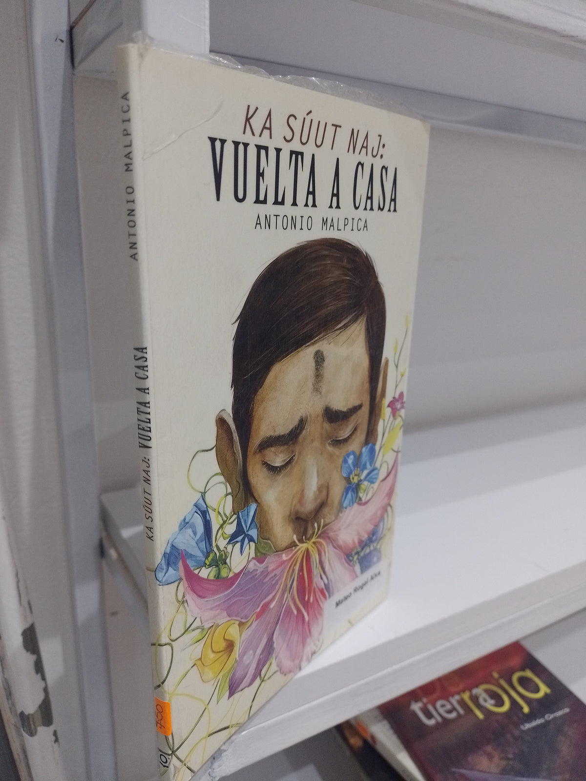 KA SUUT NAJ VUELTA A CASA POR ANTONIO MALPICA USADO NOVELA JUAREZ 515