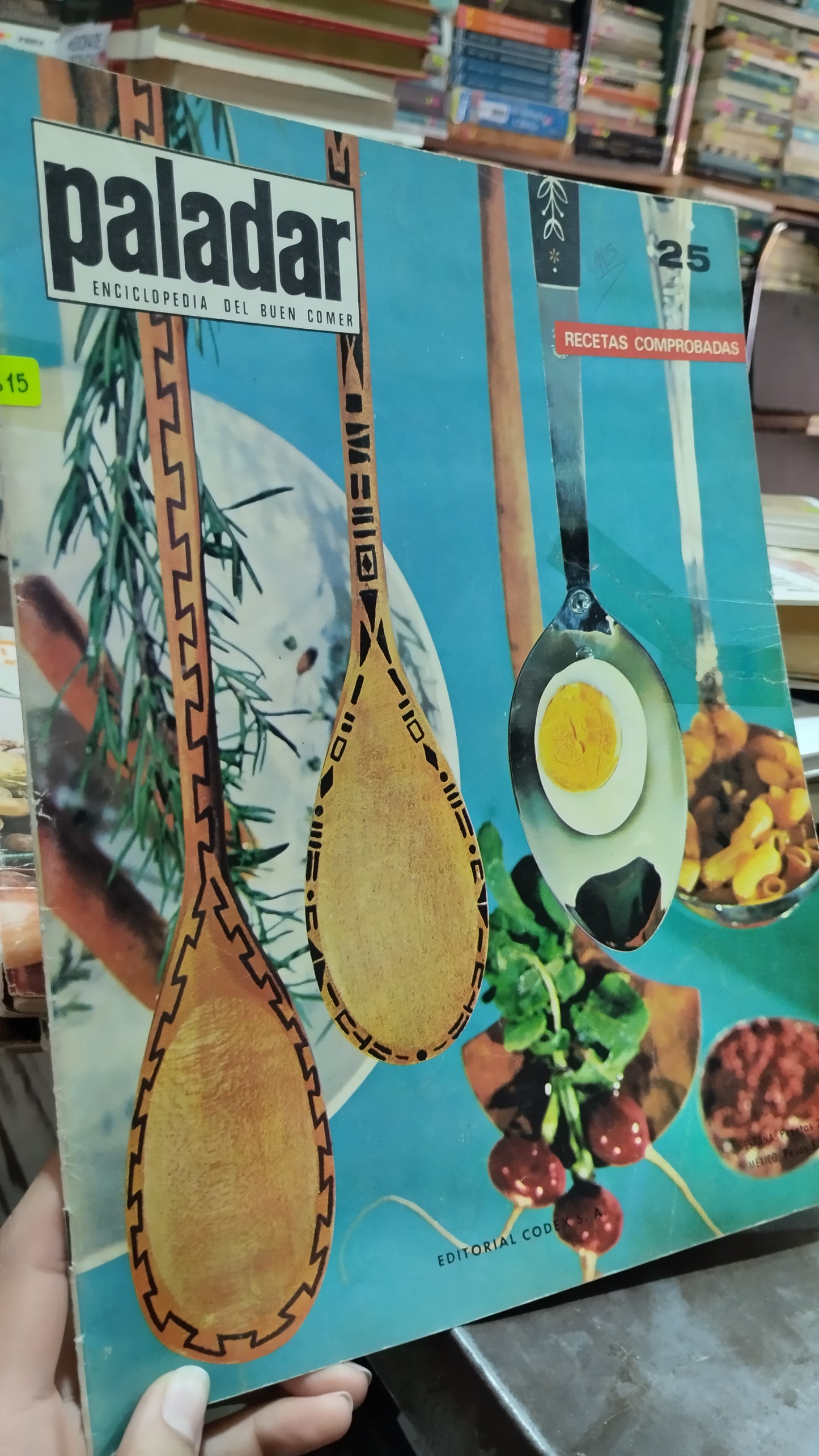 PALADAR RECETAS COMPROBADAS 25 LIBRO USADO COCINA ALDAMA