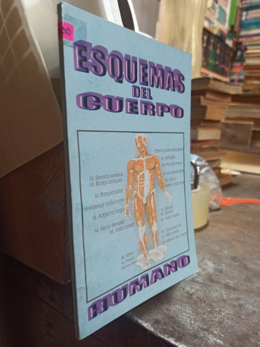 ESQUEMAS DEL CUERPO HUMANO POR RAUL A. PEREZ M. USADO SALUD ALDAMA
