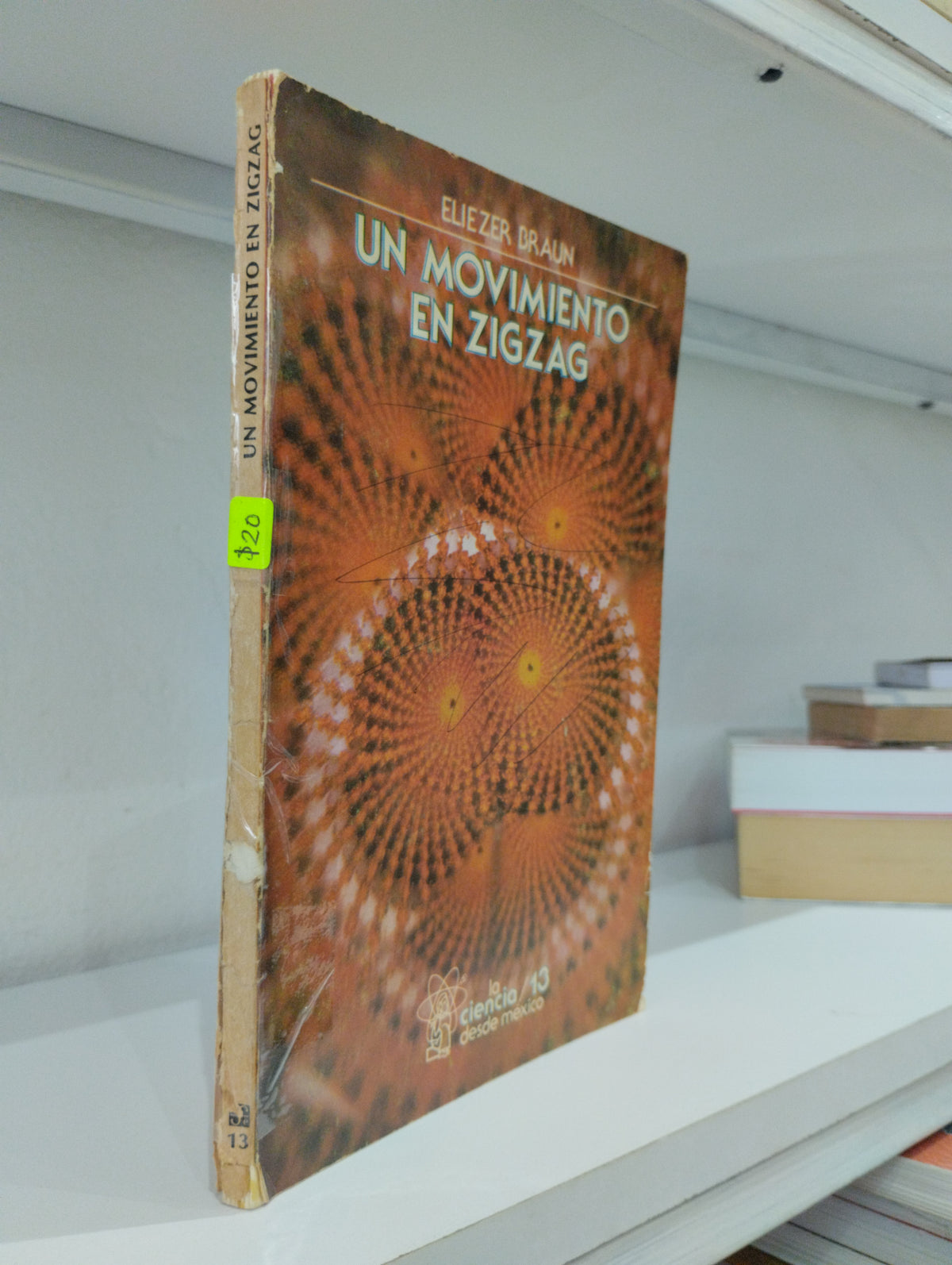 UN MOVIMIENTO EN ZIGZAG POR ELIEZER BRAUN USADO CIENCIA JUAREZ 515