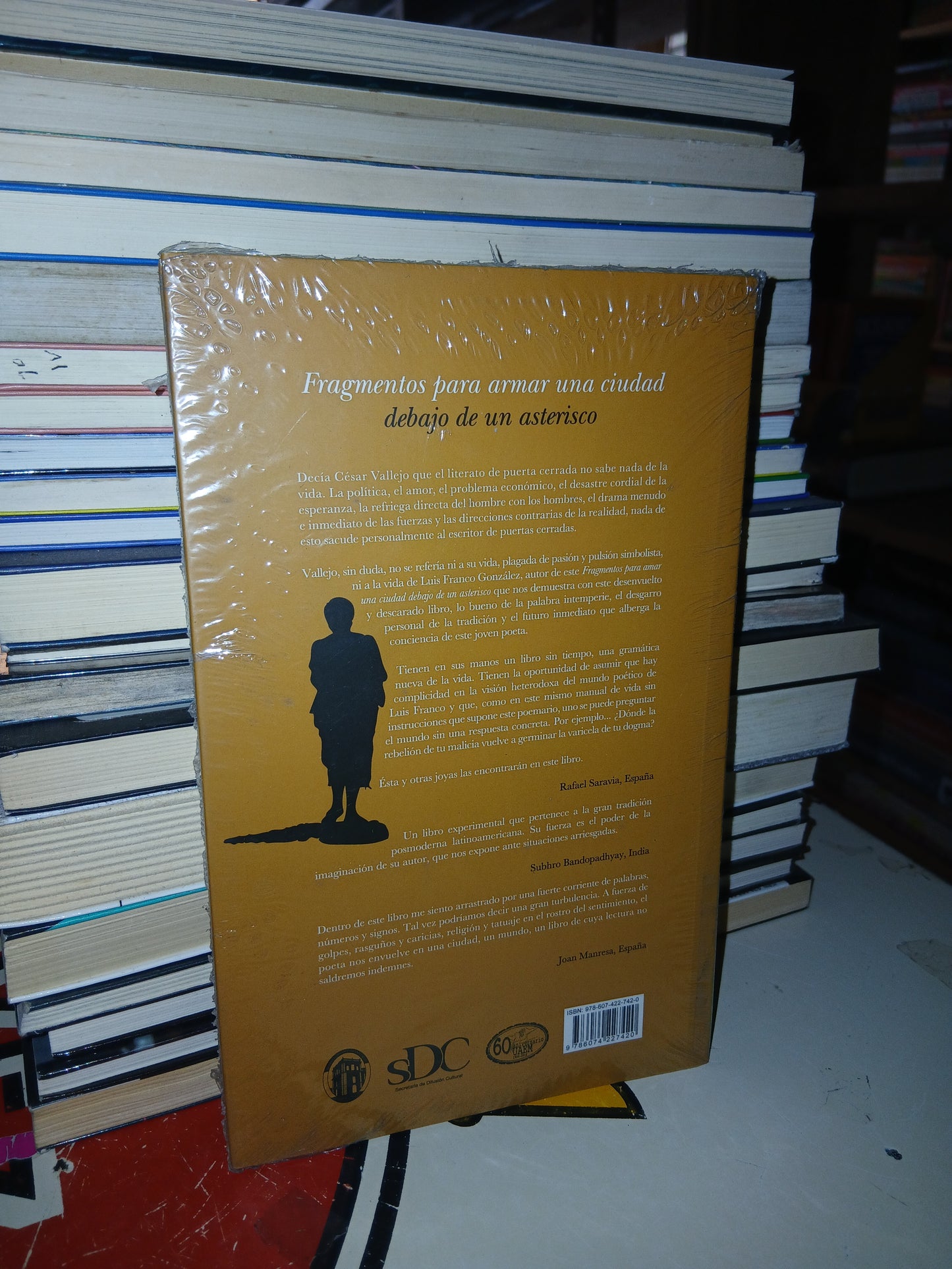 FRAGMENTOS PARA ARMAR UNA CIUDAD DEBAJO DE UN ASTERISCO POR LUIS FRANCO GONZÁLEZ USADO NOVELA LITERARIO 207