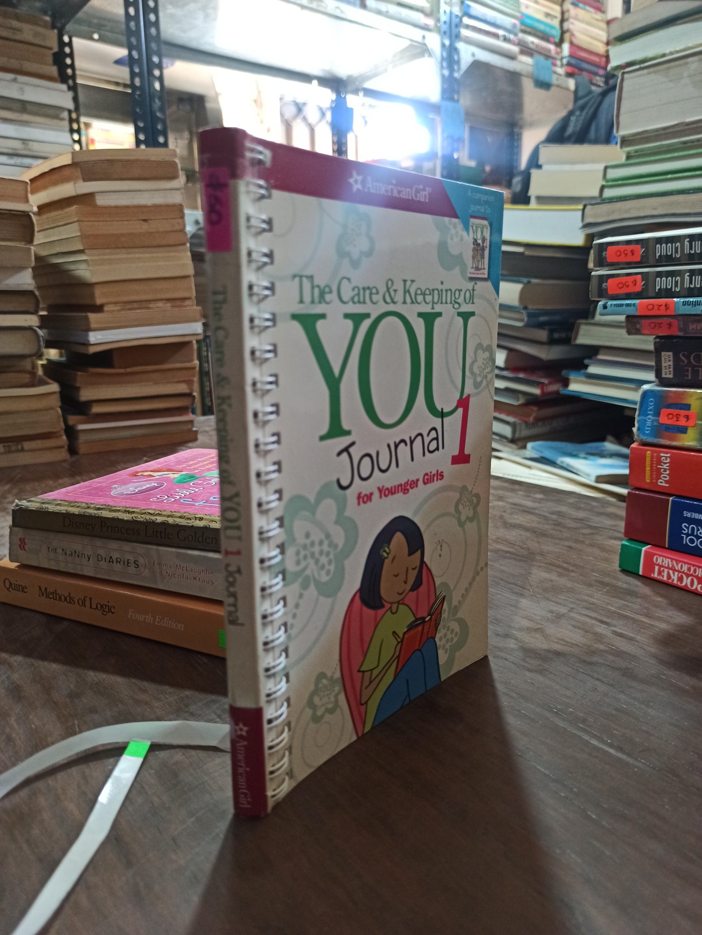 THE CARE Y KEEPING OF YOU JOURNAL 1 POR CARA NATTERSON USADO IDIOMAS ALDAMA