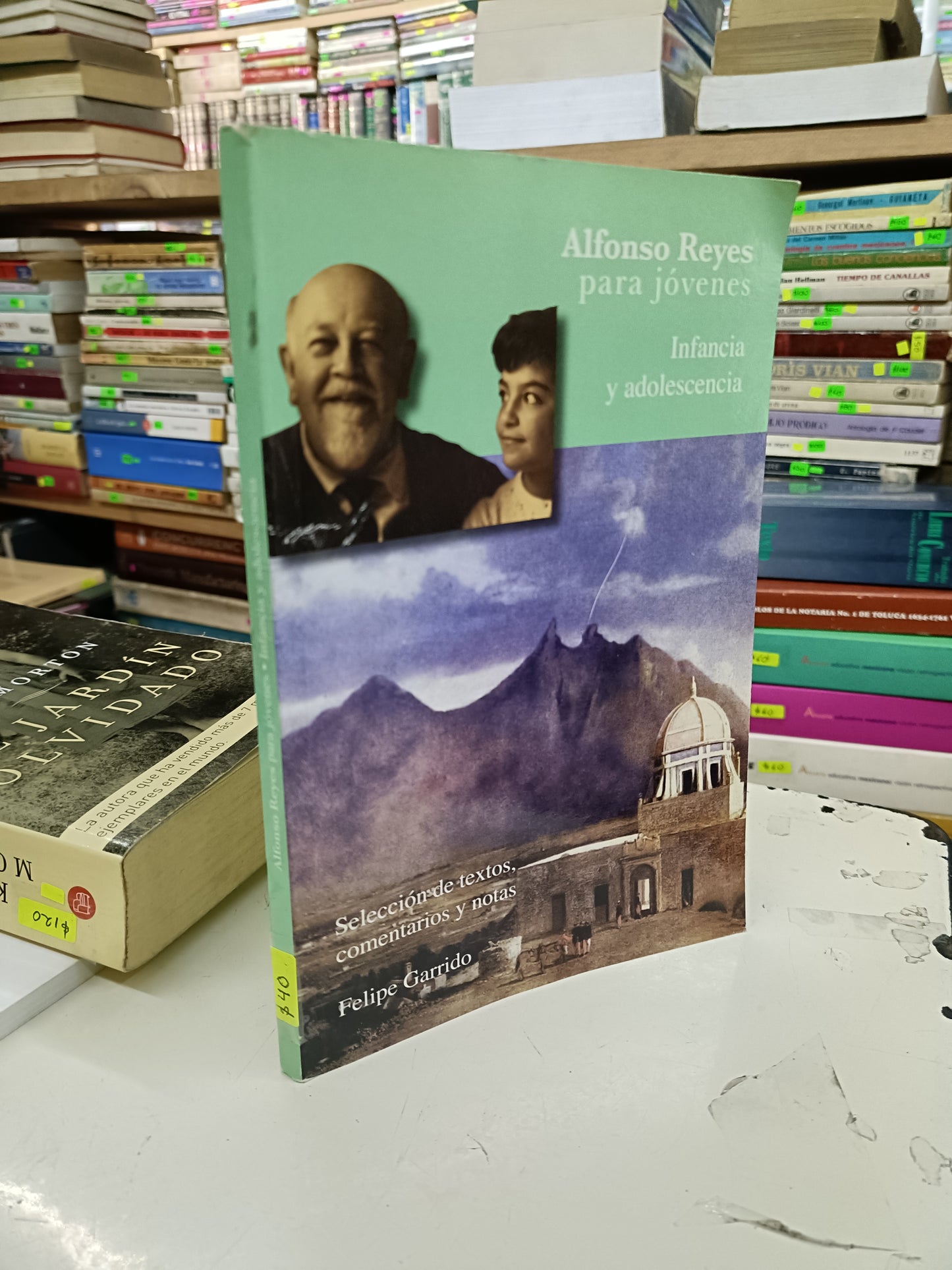 ALFONSO REYES PARA JÓVENES INFANCIA Y ADOLESCENCIA POR FELIPE GARRIDO USADO HISTORIA LITERARIO 207
