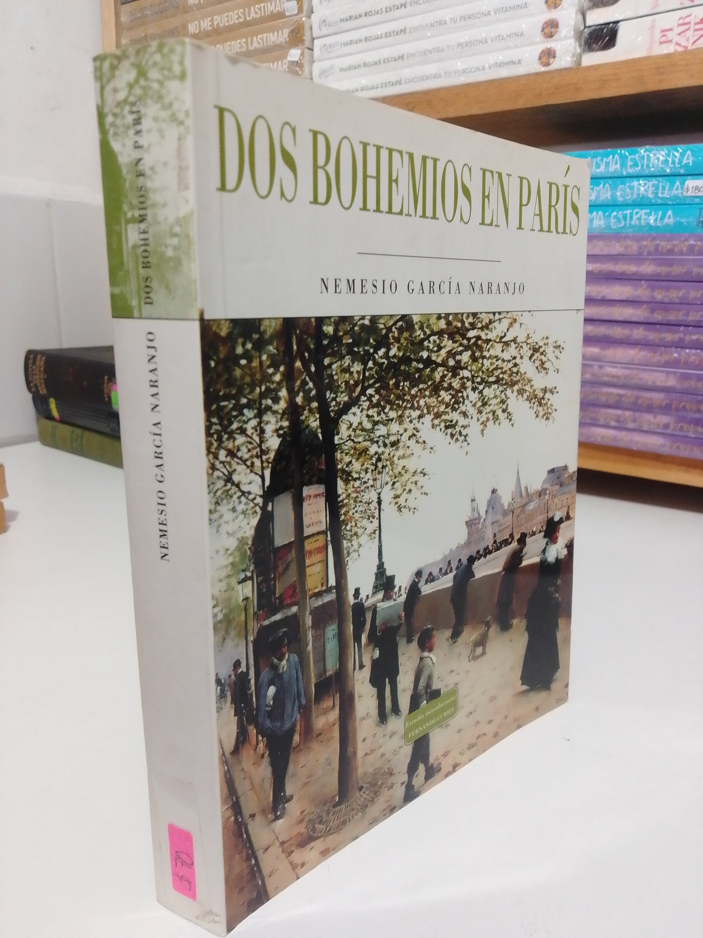 DOS BOHEMIOS EN PARIS POR NEMESIO GARCIA NARANJO USADO NOVELA JUAREZ