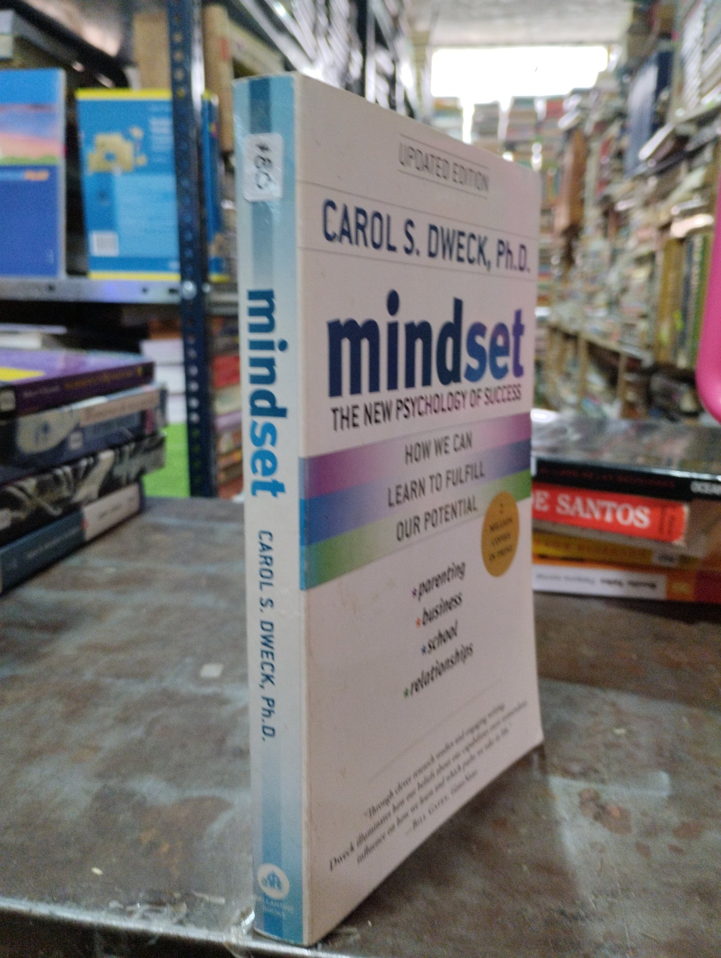 MINDSET POR CARLOS S. DWECK USADO IDIOMAS ALDAMA