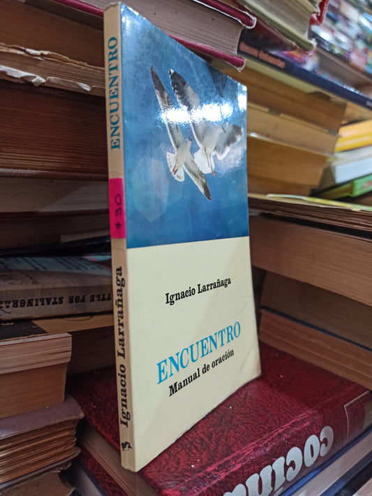 ENCUENTRO POR IGNACIO LARRAGAÑA USADO NOVELAS ALDAMA