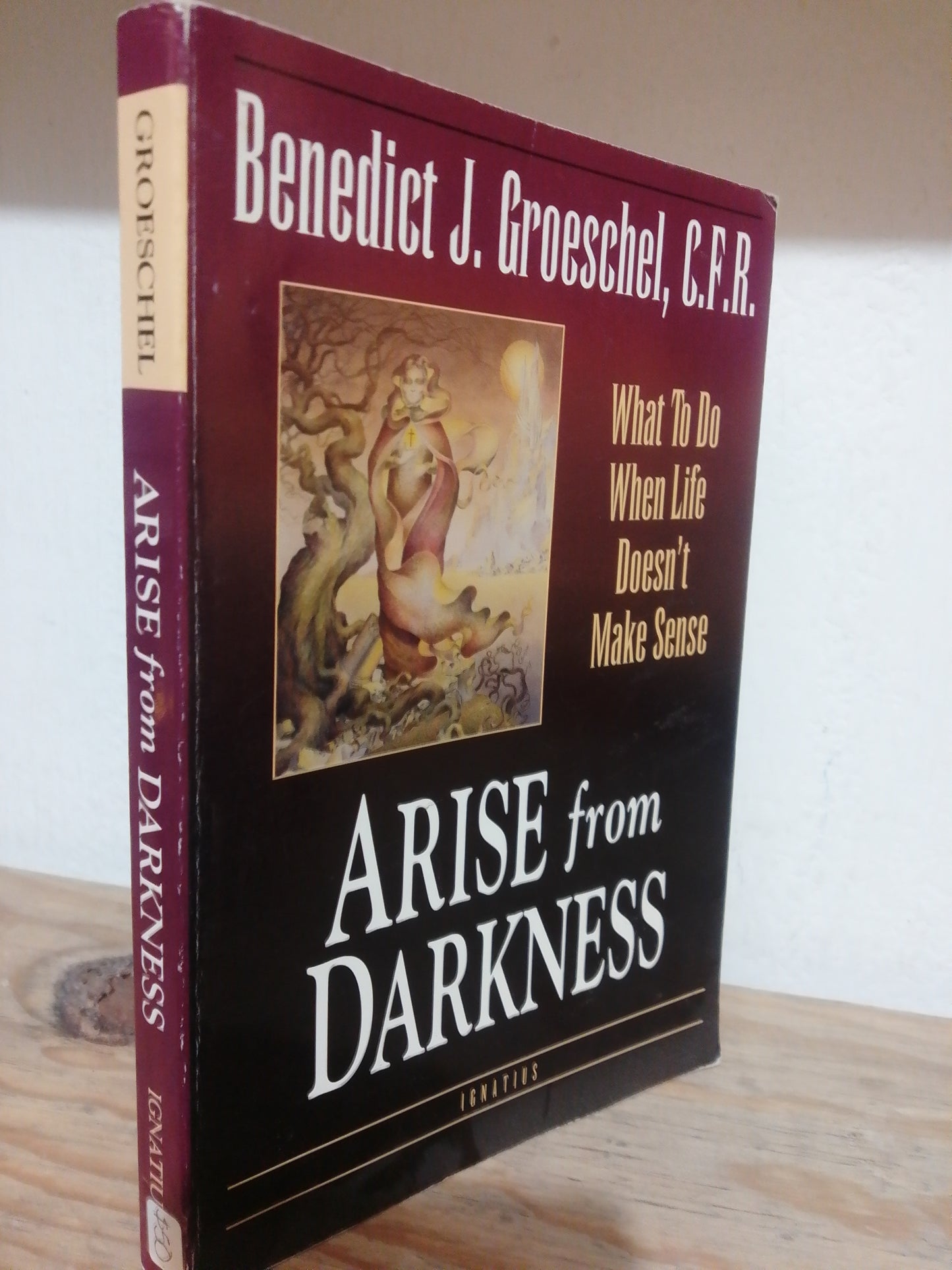 ARISE FROM DARKNESS POR BENEDICT J. GROESCHEL USADO IDIOMAS JUAREZ